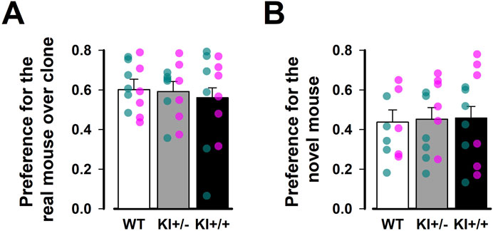 Bar graphs comparing mouse preference in two experiments. Graph A shows preference for the real mouse over a clone, with three groups (WT, KI+/−, KI+/+) displaying varying preferences. Graph B shows preference for a novel mouse, also with the same groups. Each bar includes data points with error bars suggesting variability in results.
