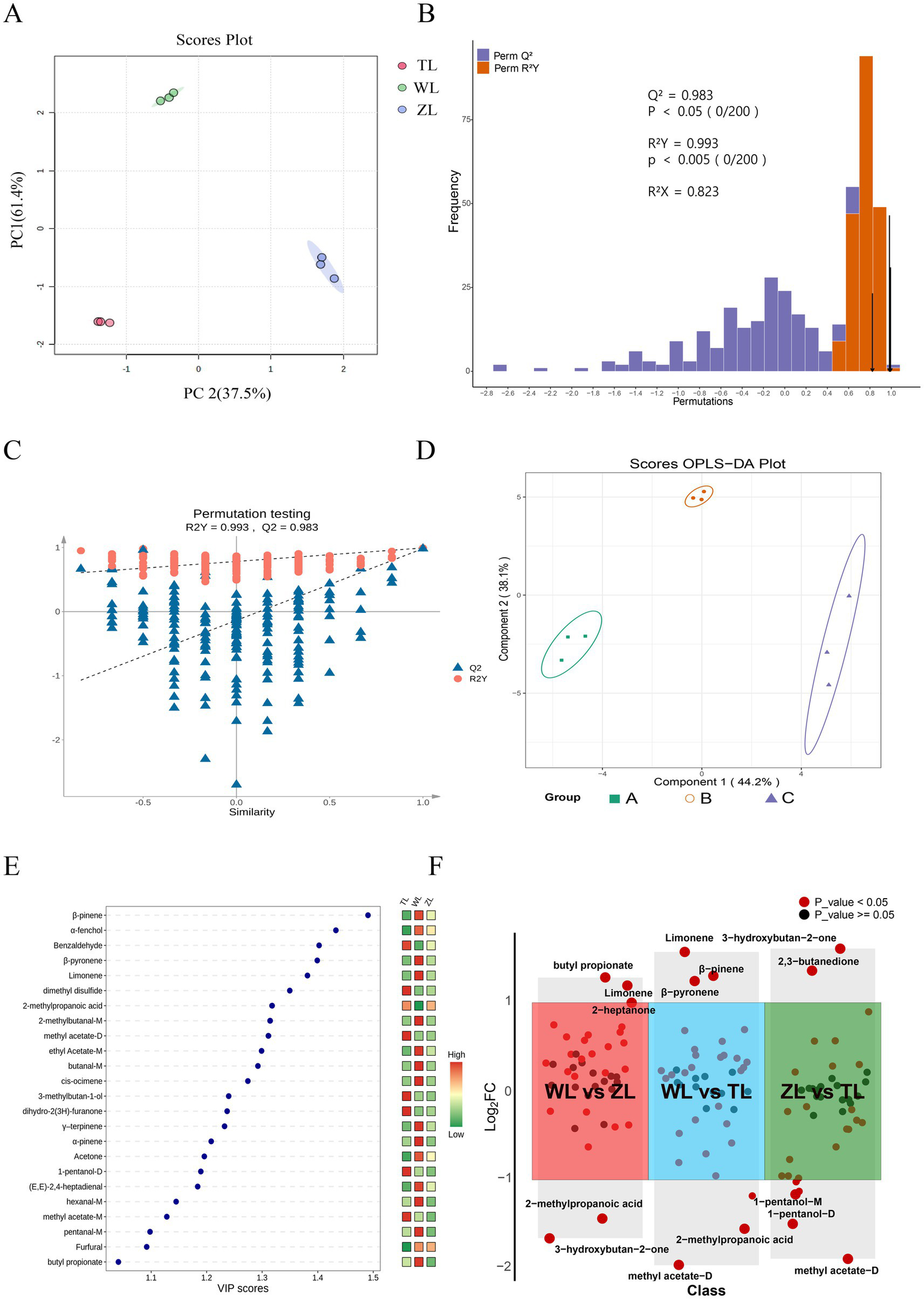 A series of plots from a data analysis study consisting of six panels:A: A PCA scores plot showing three groups (TL, WL, ZL) with distinct clustering.B: A histogram of permutation tests displaying two statistical measures (Perm Q² and Perm R²Y) with highlighted bars and corresponding significance values.C: A scatter plot for permutation testing, illustrating the distribution of R²Y and Q² values across similarity axes.D: An OPLS-DA scores plot depicting the separation of three groups (A, B, C) with clear clustering.E: A VIP scores plot listing various compounds with dots indicating their scores and a heat map for intensity.F: A scatter plot comparing different compound classes across three conditions (WL vs ZL, WL vs TL, ZL vs TL) with significance indicated by red and black dots.