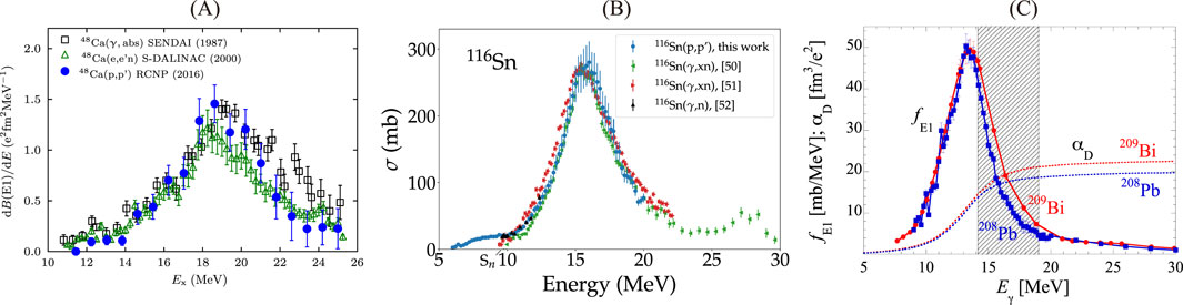 Panel A displays a graph of differential cross-section data for calcium isotopes from various experiments, showing a peak around 18 MeV. Panel B shows the cross-section data for tin isotopes versus energy, highlighting peak regions around 15 MeV. Panel C illustrates photonuclear data for lead and bismuth isotopes, with graphs showing peaks and shaded regions indicating different processes. Each panel uses different markers and lines for various datasets.