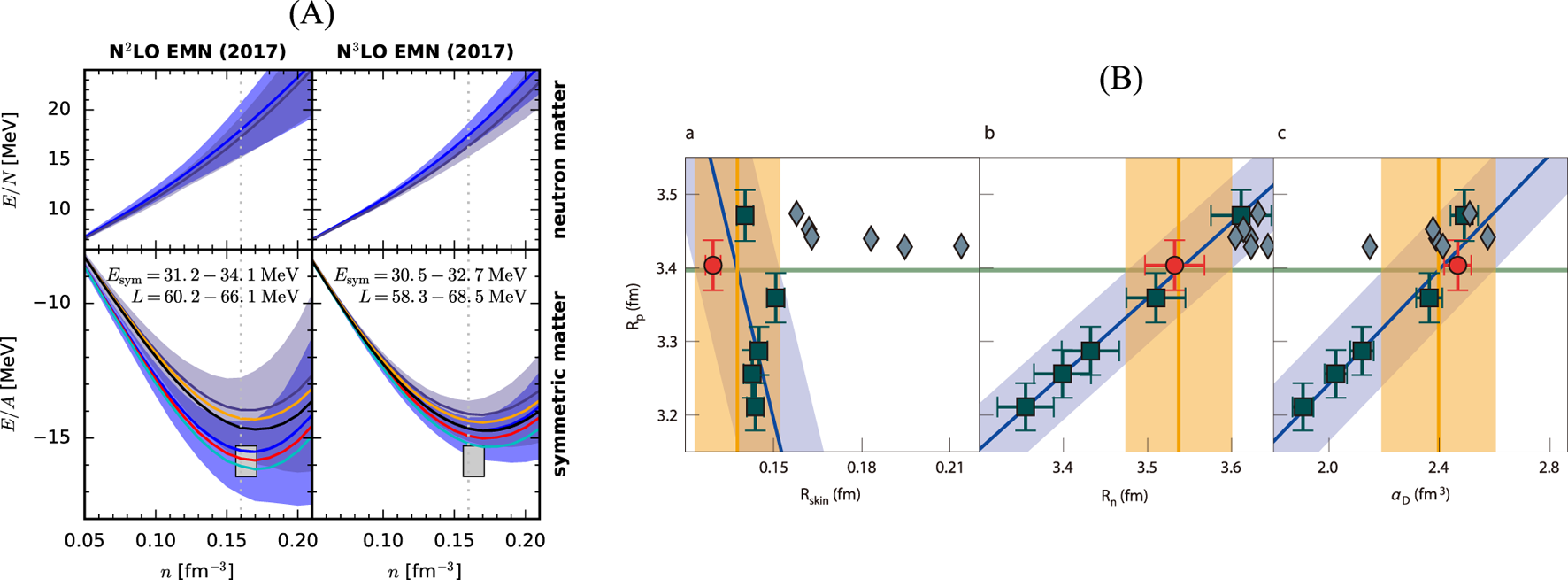 Panel A consists of graphs showing energy per particle \(E/N\) and per nucleon \(E/A\) for neutron and symmetric matter, respectively, with density \(n\). Shaded regions denote uncertainties. Panel B displays three graphs labeled a, b, and c, showing relationships between neutron skin thickness \(R_{\text{skin}}\), neutron radius \(R_n\), and dipole polarizability \(a_D\). Points with error bars, shaded regions, and fitted lines signify data and trends.