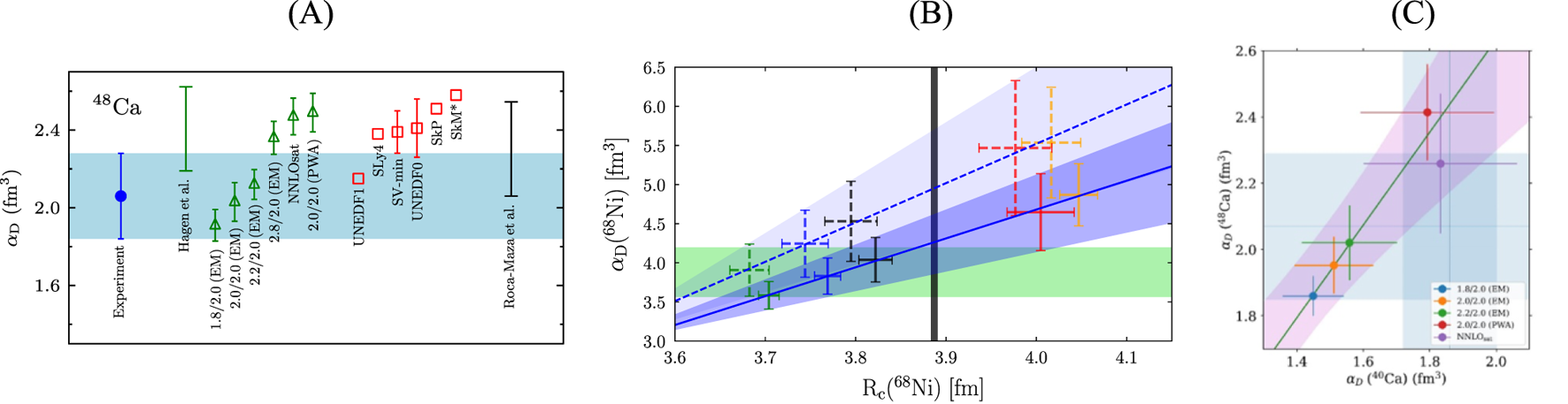 Panel (A) shows a graph comparing various methods for measuring the oscillator diameter \( cD \) of Calcium-48, with a highlighted range for uncertainty. Panel (B) presents a graph plotting \( cD \) of Nickel-68 against the radius \( R_c \), showing different data series and uncertainty regions. Panel (C) displays a correlation between the oscillator diameters of Calcium-48 and Nickel-68, with data points and shaded uncertainty areas.