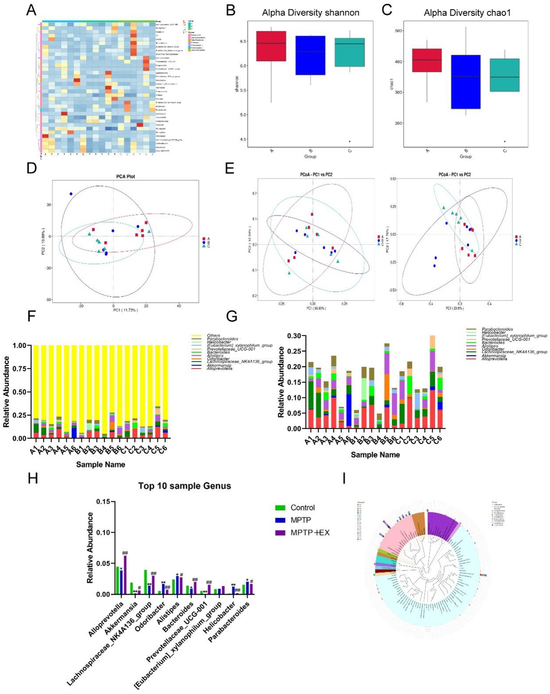 Panel A shows a heatmap of various species' abundance. Panels B and C display box plots for alpha diversity indices: Shannon and Chao1, respectively. Panels D and E present PCA plots illustrating sample clustering in different conditions. Panels F and G feature bar charts of relative abundance for different bacterial taxa across samples. Panel H highlights a bar chart of the top 10 genera by relative abundance among Control, MPTP, and MPTP+EX groups. Panel I depicts a circular dendrogram illustrating phylogenetic relationships among taxa.