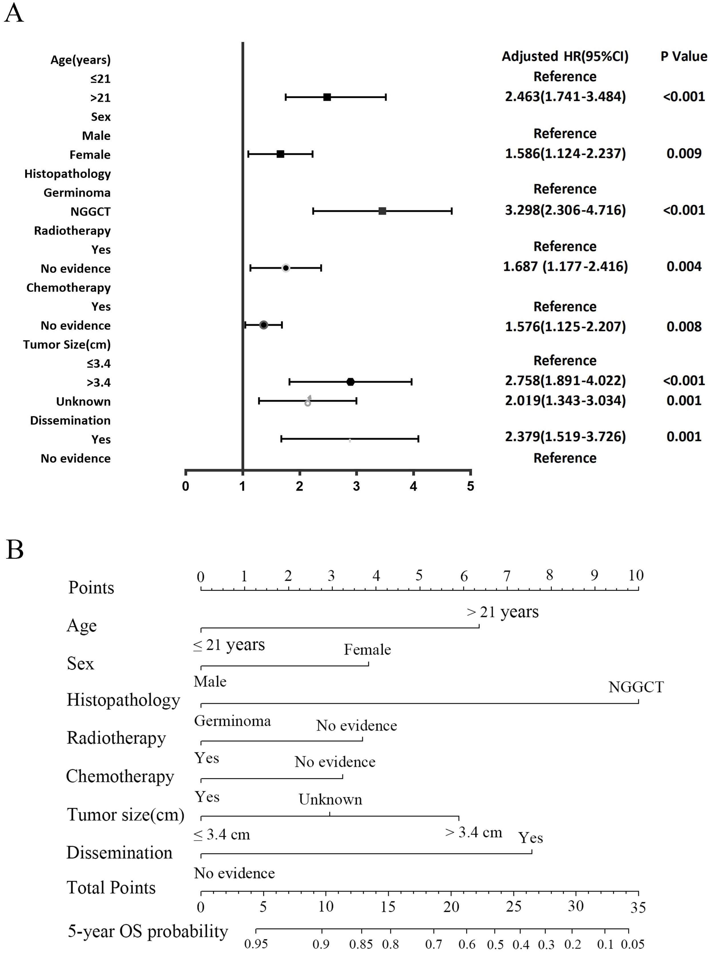 Graphical representation of prognostic factors and a nomogram for five-year overall survival. (A) Forest plot shows adjusted hazard ratios (HRs) with confidence intervals (CI) for variables like age, sex, histopathology, radiotherapy, chemotherapy, tumor size, and dissemination. HRs above 2.0 are marked significant with p-values mostly <0.001. (B) Nomogram displays different variables contributing to total points, predicting five-year overall survival. Variables include age, sex, histopathology, radiotherapy, chemotherapy, tumor size, and dissemination with scale for points and survival probability.