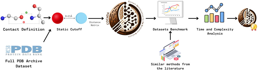 Flowchart illustrating the methodology used to create and benchmark COCaDA. It starts with contact definition from previous studies, applied to the PDB archive dataset using a static cutoff value, leading to the distance matrix creation. The distance matrix creates COCaDA (Contact Optimization by C-alpha Distance Analysis), which is benchmarked against different methods from the literature. Time and complexity analysis are evaluated, and COCaDA outperforms the others.