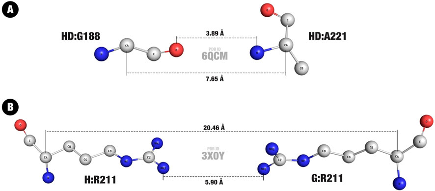 Diagram showing residue pairs with labeled atoms and distances. Part A features PDB ID 6QCM, containing the lowest values, with distances of 3.89 angstroms and 7.65 angstroms between the pair HD:G188 and HD:A221. Part B shows PDB ID 3X0Y, containing the highest values, with distances of 5.90 angstroms and of 20.46 angstroms between the pair H:R211 and G:R211. Elements are color-coded: nitrogen in blue, carbon in gray, and oxygen in red. Dashed lines indicate measured distances.