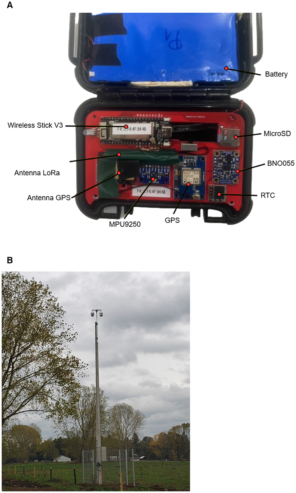 Panel A shows an electronic device setup inside a protective case, with labeled components including a battery, microSD, wireless stick V3, LoRa and GPS antennas, MPU9250, GPS module, BNO055, and RTC. Panel B depicts a tall pole mounted in an open field, topped with devices, surrounded by trees under a cloudy sky.