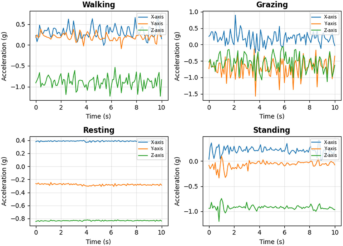 Four line graphs show acceleration in g over time in seconds for different activities: Walking, Grazing, Resting, and Standing. Each graph displays data along the X, Y, and Z axes. Walking and Grazing show higher variability, while Resting and Standing have more stable lines.
