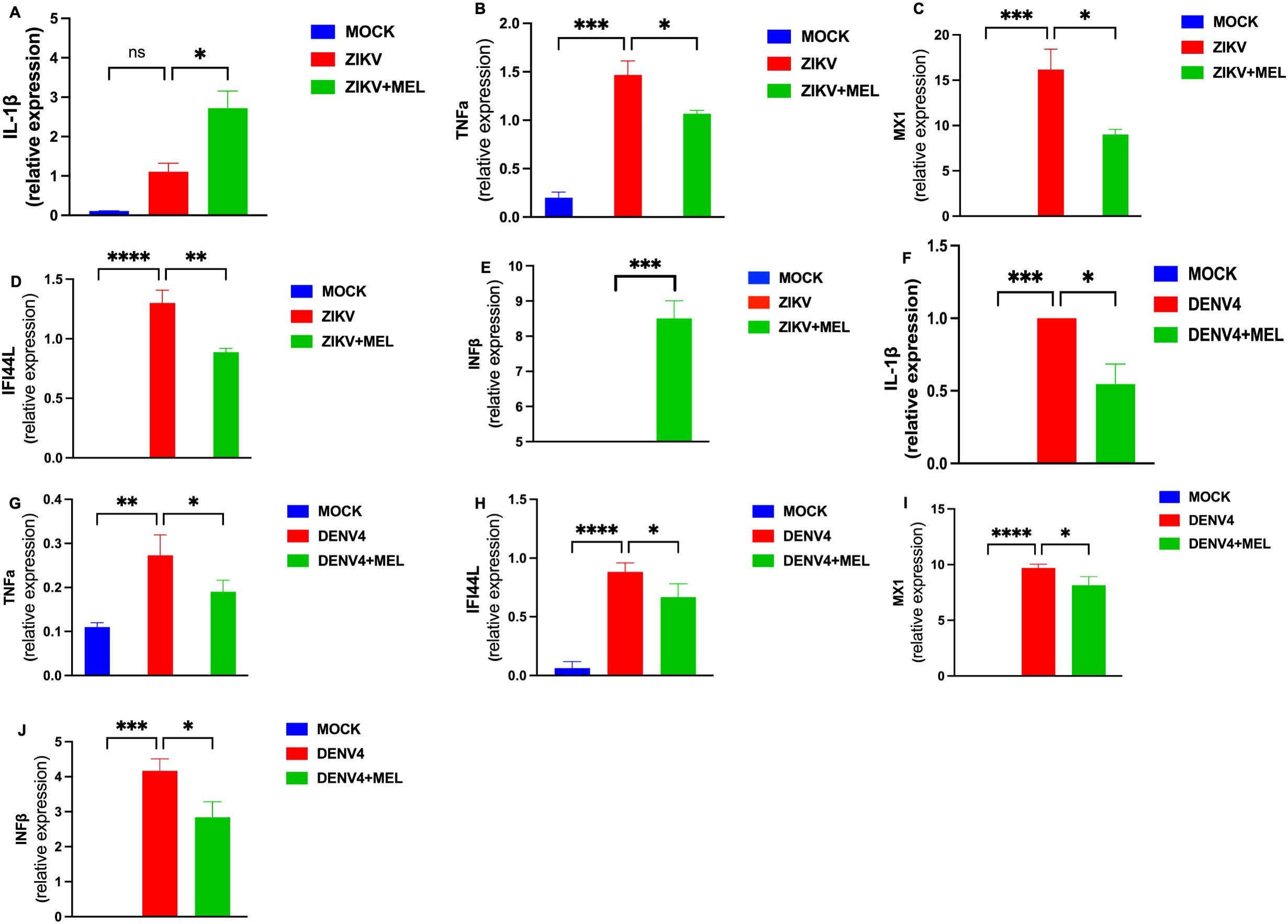 Bar graphs showing relative expression levels of various genes (IL-1β, TNFα, Mx1, IFI44L, and INFB) under different conditions: MOCK, ZIKV, ZIKV+MEL, DENV4, and DENV4+MEL. Each graph illustrates significant differences among conditions, indicated by asterisks. ZIKV and DENV4 treatments generally show increased expression compared to MOCK, with melatonin (MEL) modulating these effects.