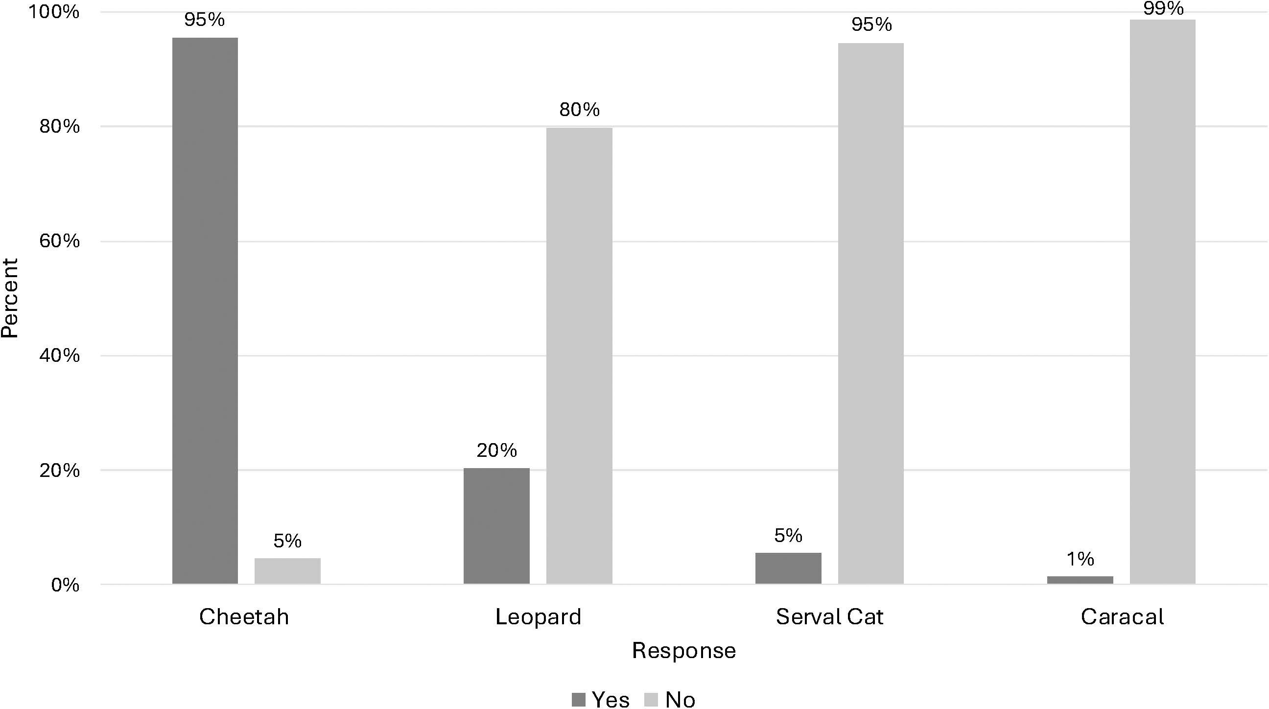 Bar chart showing responses for correctly identifying cheetahs from leopards, serval cats, and caracals. Ninety-five percent correctly identified cheetahs, with twenty percent identifying leopards for cheetahs, five percent identifying serval cats for cheetahs, and one percent identifying caracals for cheetahs.