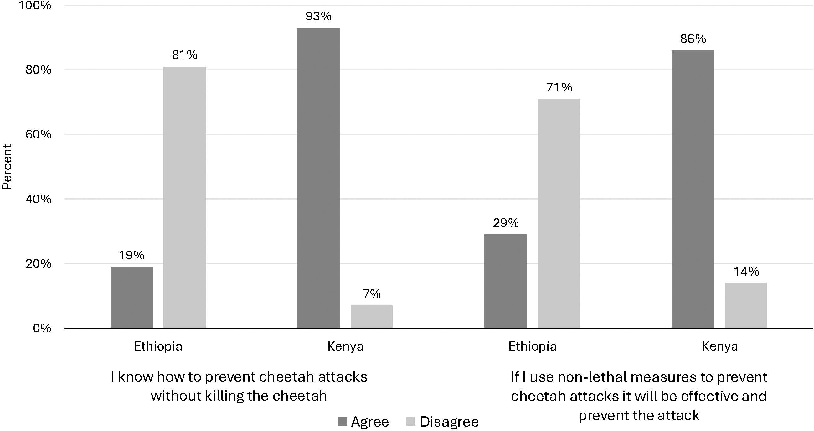Bar chart comparing opinions in Ethiopia and Kenya on how to prevent cheetah attacks. First pair: 19% in Ethiopia agree and 81% disagree about knowing how to prevent attacks without killing cheetahs. In Kenya, 93% agree and 7% disagree. Second pair: 29% in Ethiopia agree and 71% disagree that using non-lethal measures are effective, while 86% in Kenya agree and 14% disagree.