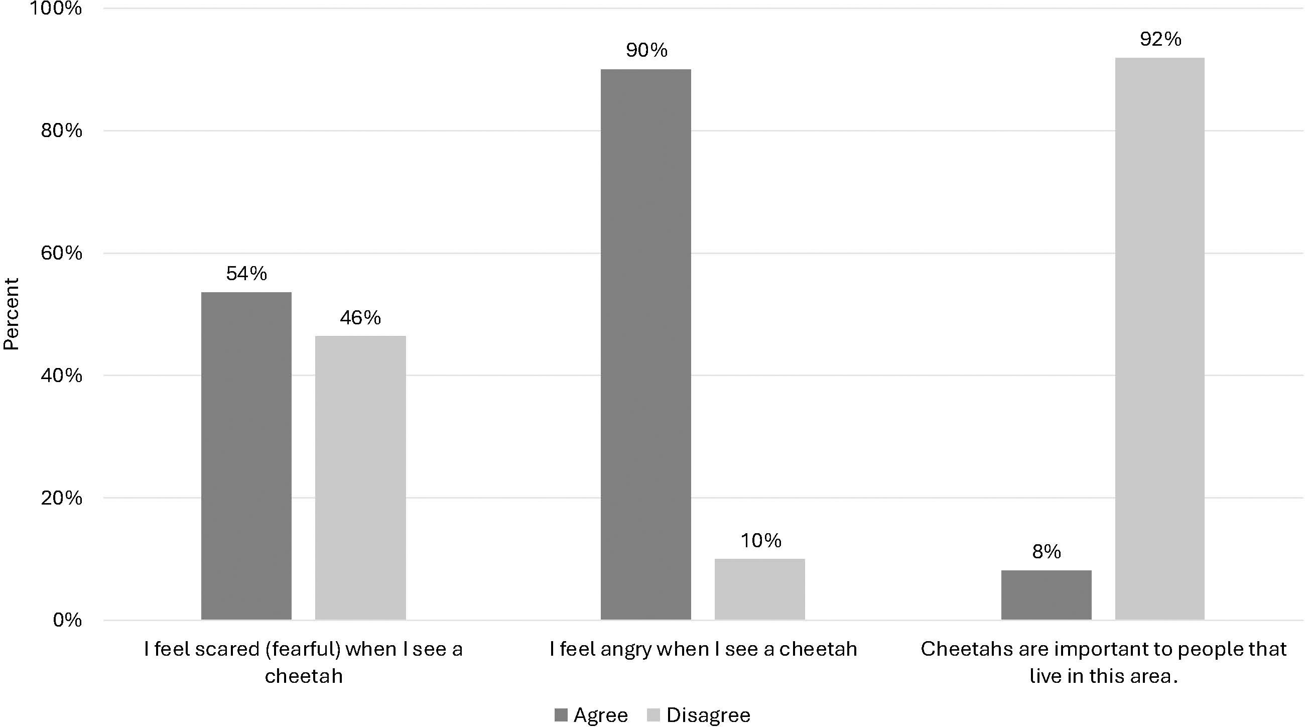 Bar chart showing survey responses about perceptions of cheetahs. For feeling scared when seeing a cheetah: 54% agree, 46% disagree. For feeling angry: 90% agree, 10% disagree. Regarding believing cheetahs are important to people: 8% agree, 92% disagree.