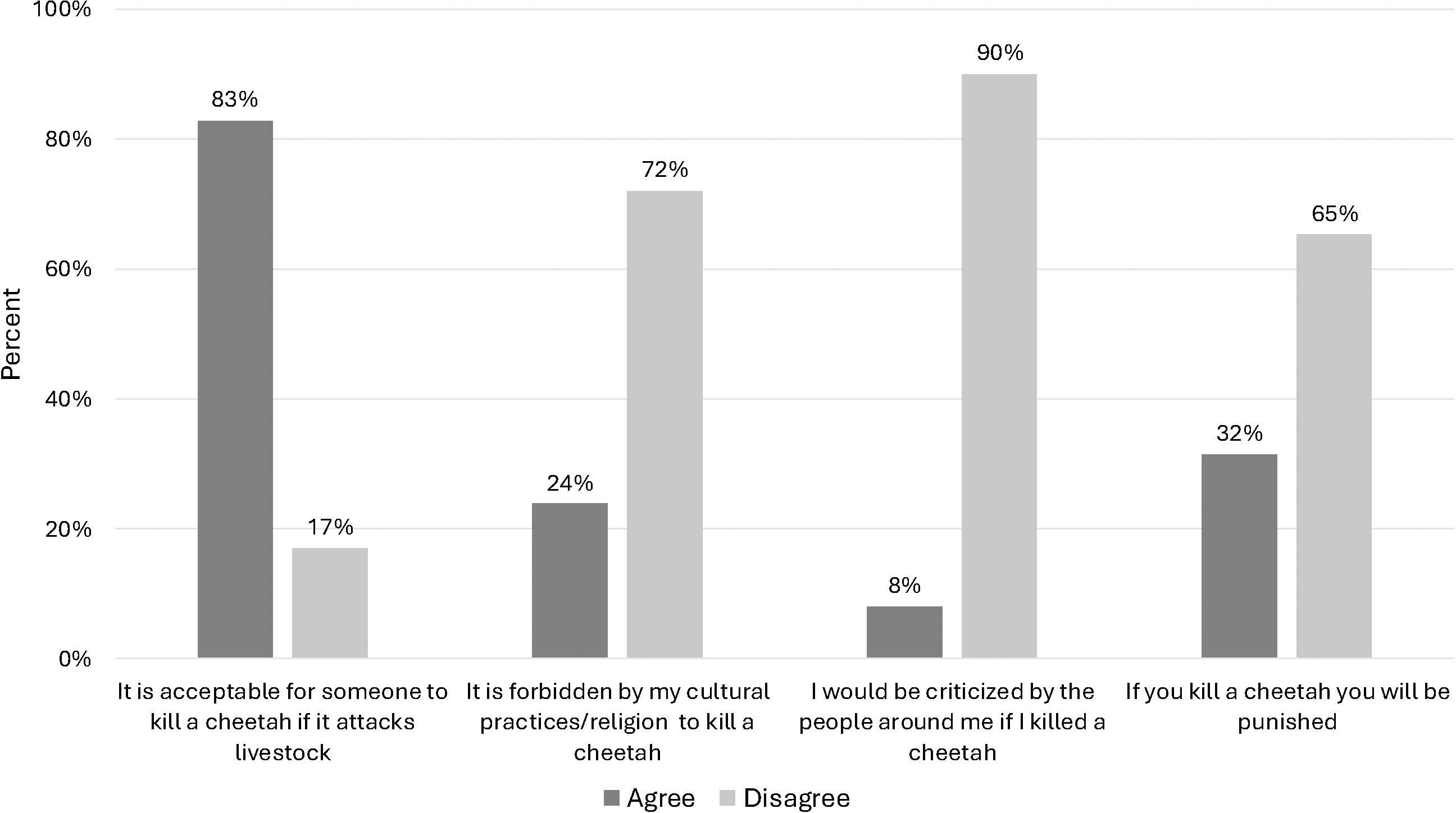 Bar graph comparing beliefs toward killing cheetahs. Four statements are evaluated: 83% agree it's acceptable to kill a cheetah if it attacks livestock, 72% disagree it's forbidden to kill a cheetah by cultural practices, 90% disagree they'd be criticized by others if they killed one, and 65% disagree they would be punished for killing a cheetah. Gray represents agreement, and light gray represents disagreement.