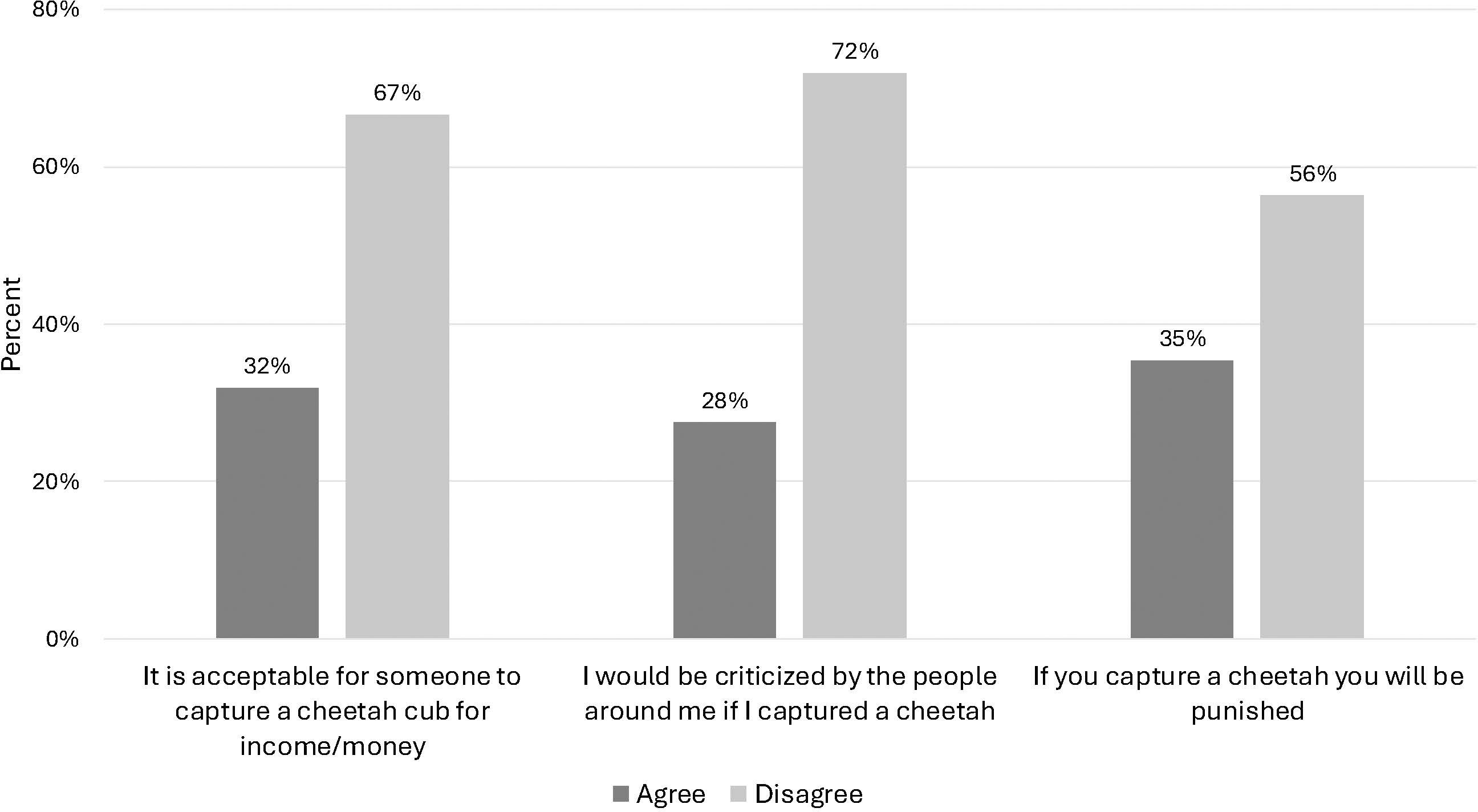 Bar graph comparing beliefs on capturing cheetahs. Three statements are shown: 1. Acceptability of capture for income: 32% agree, 67% disagree. 2. Criticism if captured: 28% agree, 72% disagree. 3. Punishment if captured: 35% agree, 56% disagree. Gray represents agreement, and light gray represents disagreement.