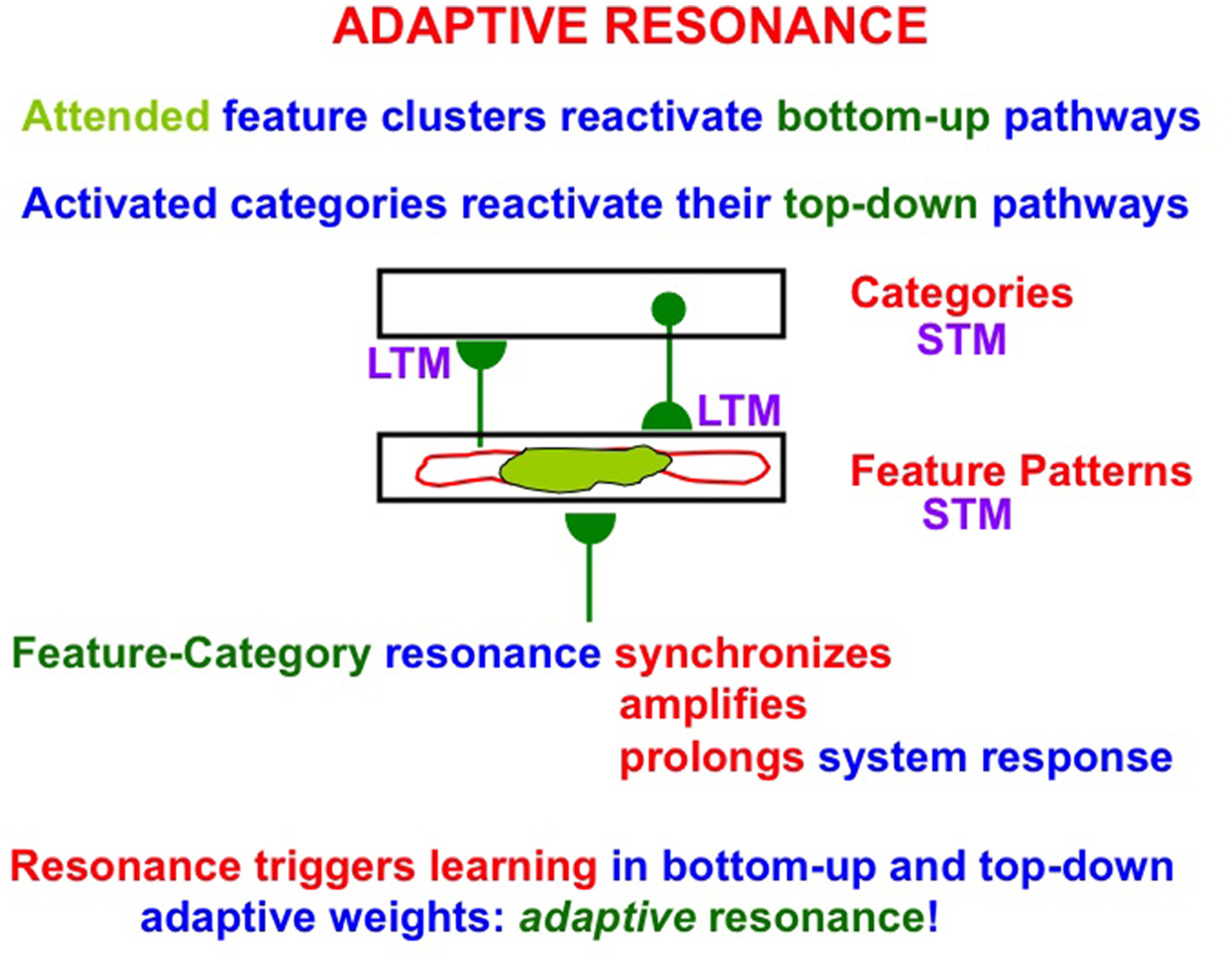 Diagram illustrating the concept of adaptive resonance. Attended feature clusters reactivate bottom-up pathways, while activated categories reengage top-down pathways. Long-term memory (LTM) and short-term memory (STM) are shown. Feature-category resonance synchronizes, amplifies, and prolongs system responses. The process aids learning in bottom-up and top-down adaptive weights.