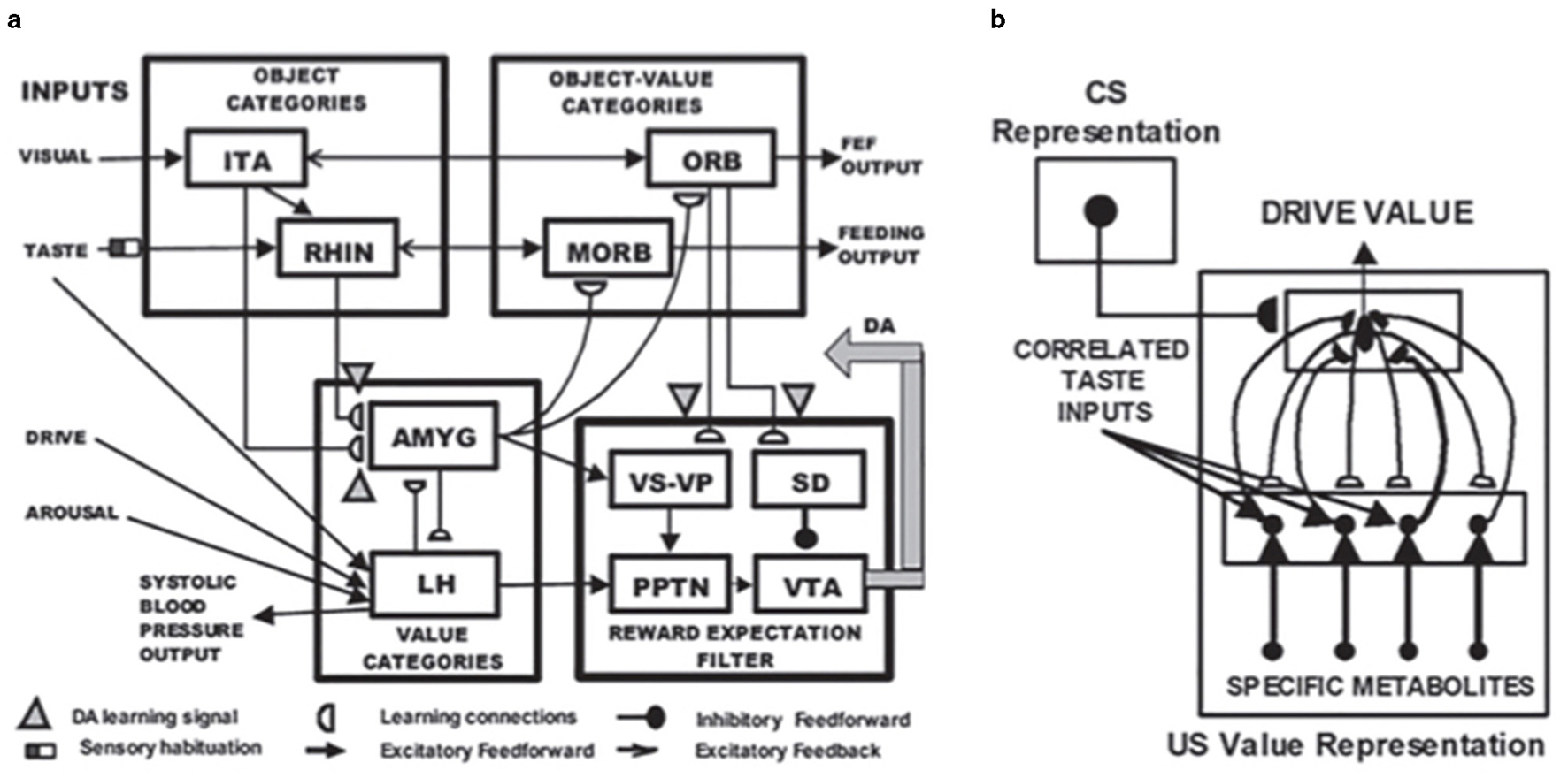 Diagram illustrating a neural network model for processing inputs like visual and taste signals. It includes sections for object categories (ITA, RHIN) and object-value categories (ORB, MORB), leading to value categories (AMYG, LH). Reward expectation is processed through VS-VP, SD, PPTN, and VTA. Various connections represent learning, inhibitory, and excitatory pathways, with elements influencing drive value and specific metabolites. Symbols denote DA learning signals and sensory habituation.
