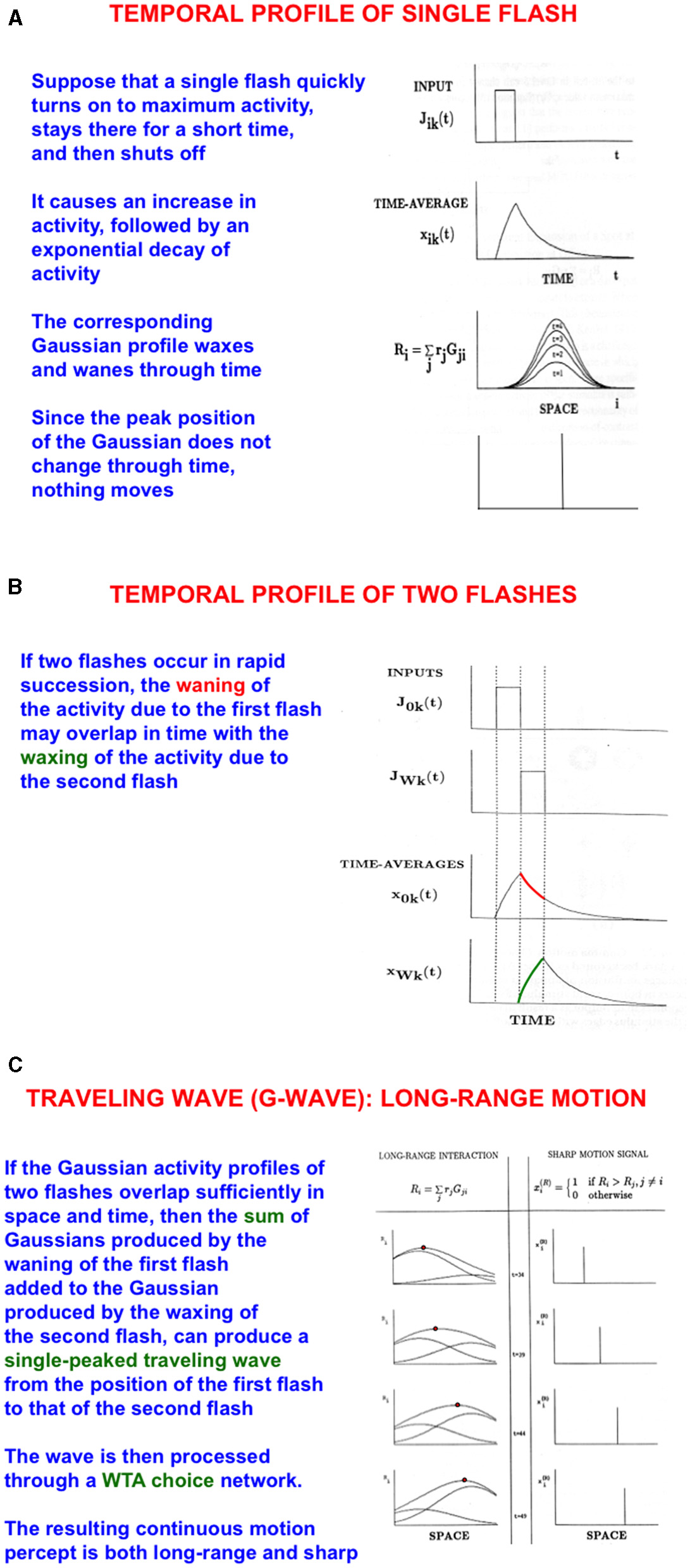 Diagrams illustrate temporal profiles of single and two flashes, and a traveling wave. Panel A depicts a single flash's input and its Gaussian decay over time. Panel B shows the overlap of activities from two flashes resulting in a combined wave. Panel C explains how overlapping Gaussian profiles can create a traveling wave processed by a WTA network, indicating long-range motion perception. Text accompanies each section explaining the phenomena.