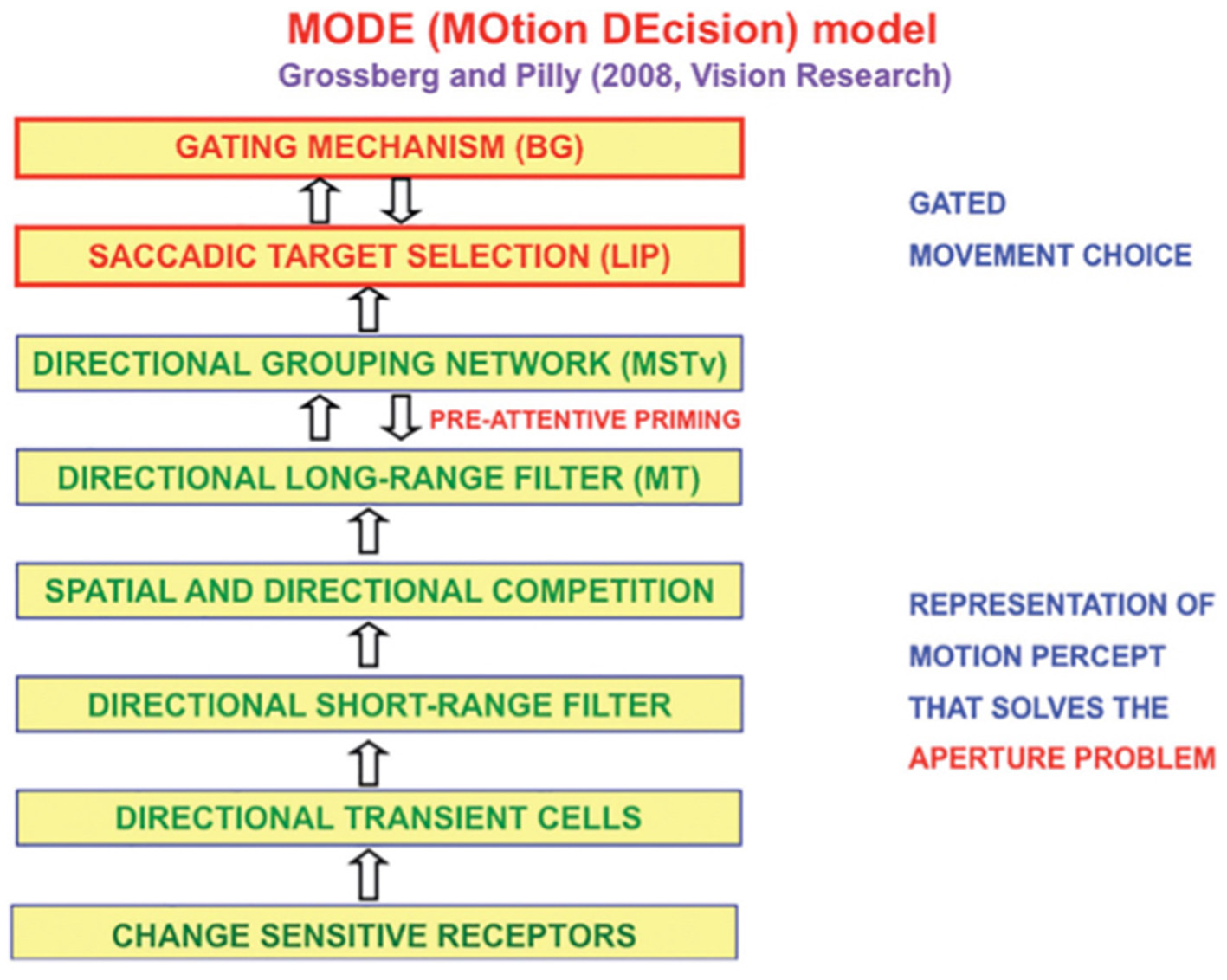 Flowchart illustrating the MODE (MOtion DEcision) model by Grossberg and Pilly (2008), detailing a process starting from change-sensitive receptors to gating mechanisms. It includes stages like directional transient cells, directional short-range filter, and saccadic target selection. The right side notes stages as solving the aperture problem and guiding movement choice.