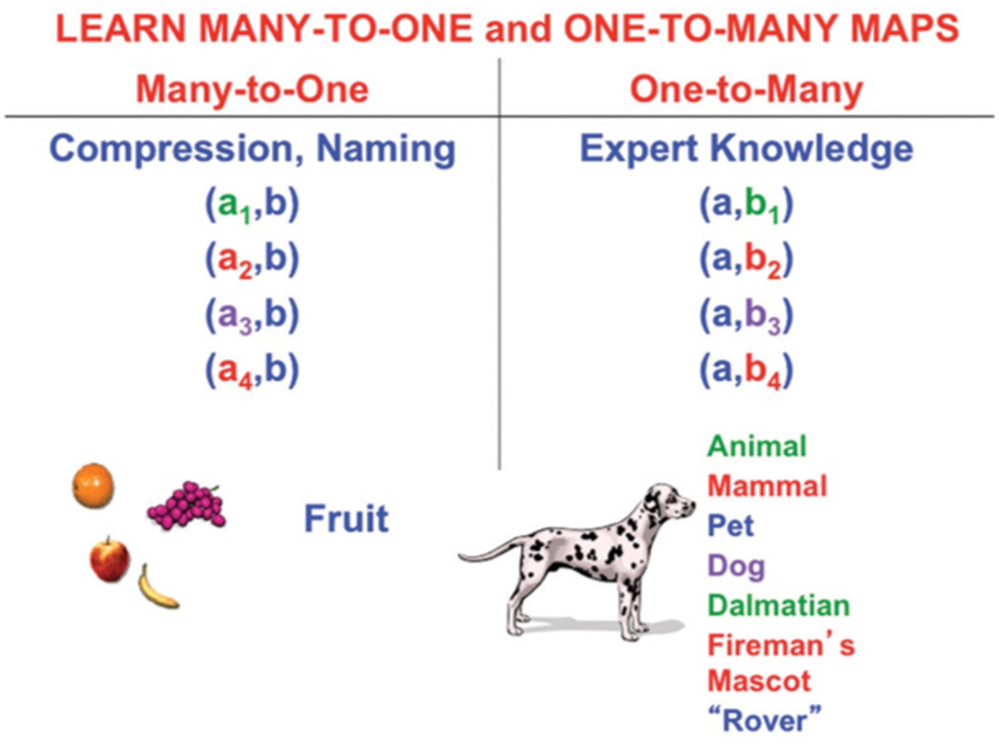 Diagram contrasting many-to-one and one-to-many maps. On the left, under “Many-to-One,” various fruits map to “Fruit” using compression and naming (a1, b) to (a4, b). On the right, under “One-to-Many,” a Dalmatian maps to multiple categories: Animal, Mammal, Pet, Dog, Dalmatian, Fireman's Mascot, and “Rover,” illustrating expert knowledge with (a, b1) to (a, b4).