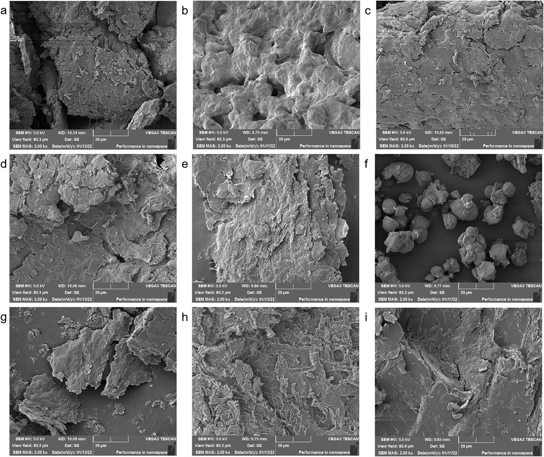 Nine-panel SEM images labeled a to i, showing varied surface textures of materials. Panels a, b, c, d, e, g, h, and i display rough, layered structures. Panel f reveals rounded, granular particles. Each image includes scale bars and magnification details.