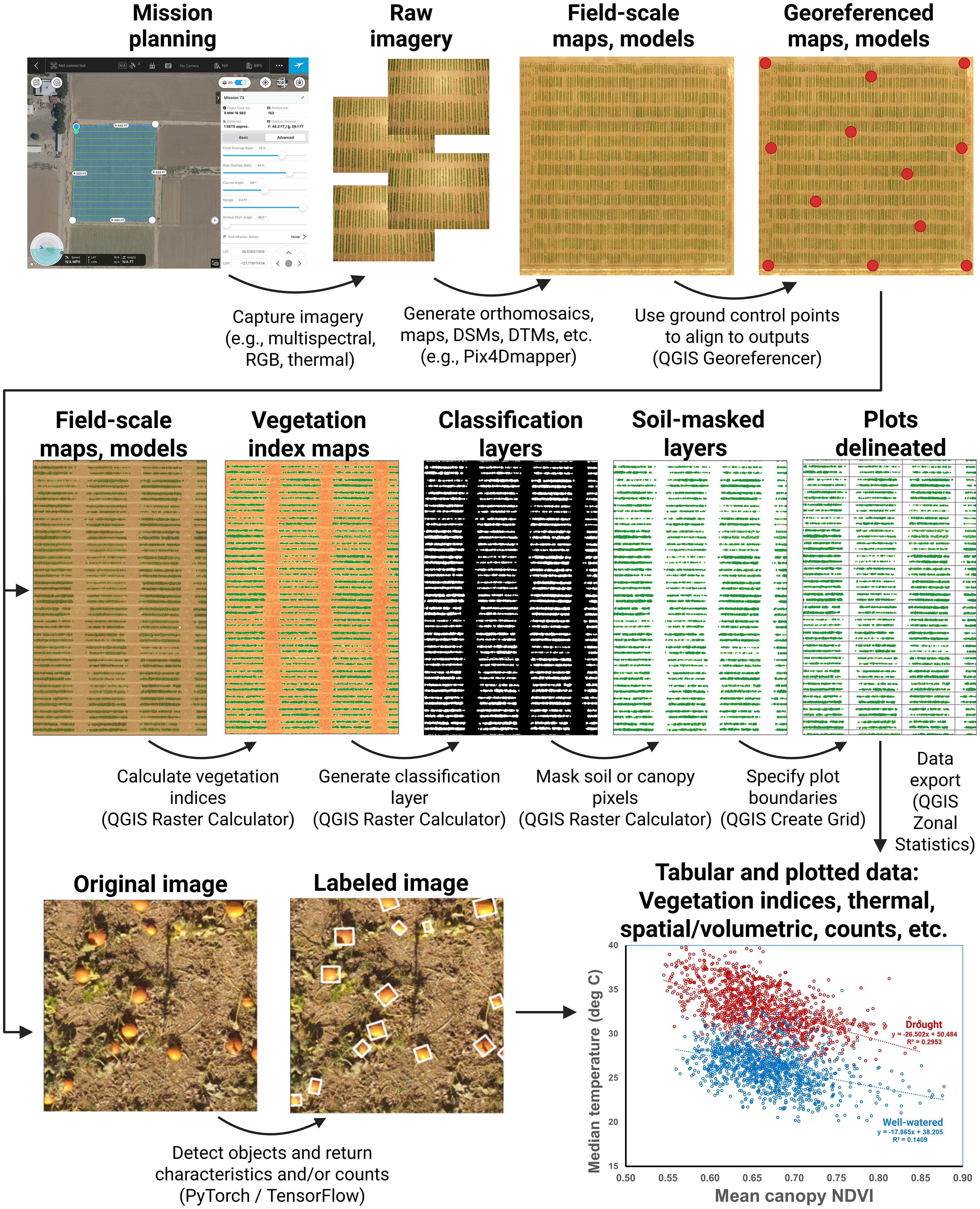 Flowchart depicting a geospatial data processing workflow. It starts with mission planning, capturing multispectral and thermal imagery, and creating orthomosaic maps using software. Georeferenced maps are aligned with ground control points. Vegetation index maps are calculated, generating classification layers and masking soil or canopy pixels. Plots are delineated, and data exported. Original images are processed for object detection using AI. Tabular and plotted data show the relationship between median temperature and mean canopy NDVI. The graph illustrates data points for drought and well-watered conditions.