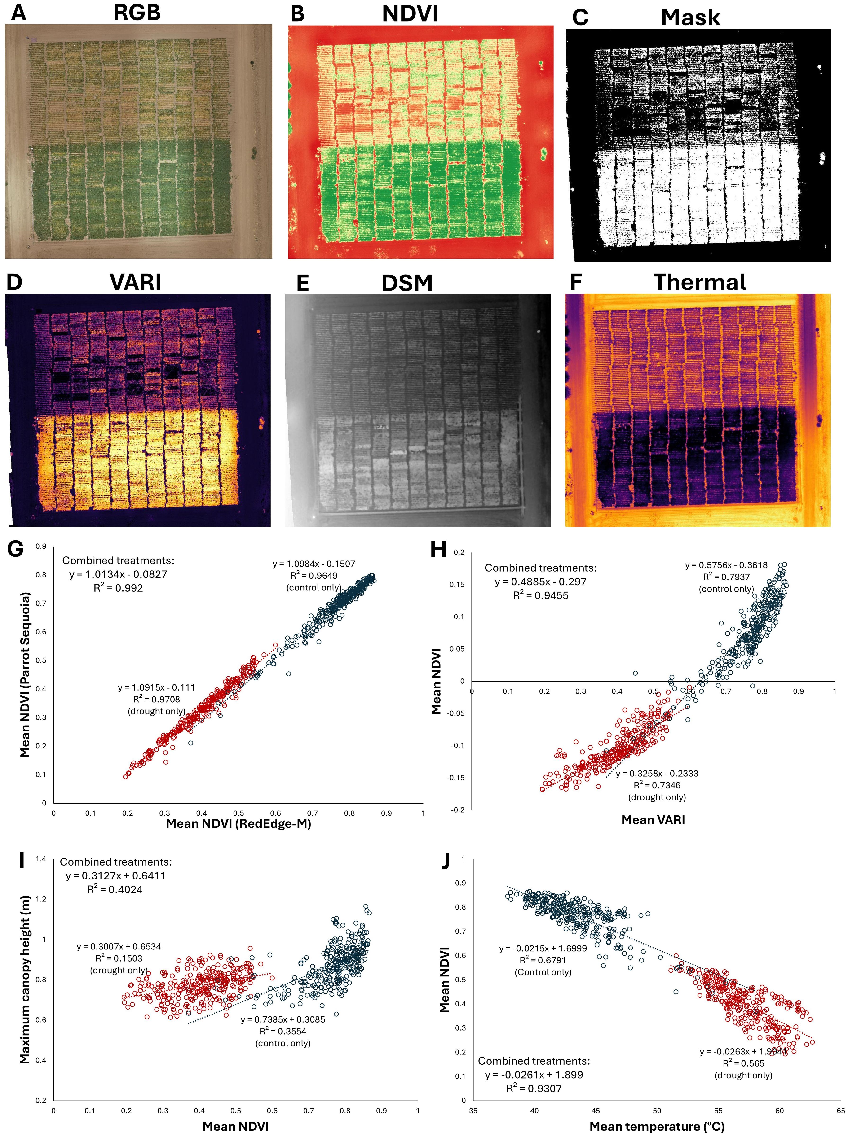 A series of images and graphs related to agricultural data analysis. Top row: A) RGB image, B) NDVI, C) Mask, D) VARI, E) DSM, F) Thermal. Bottom row: G) Graph comparing Mean NDVI (Parrot Sequoia) and Mean NDVI (RedEdge-M) for combined, drought, and control treatments. H) Graph showing the relationship between Mean NDVI and Mean VARI. I) Graph illustrating Maximum canopy height against Mean NDVI. J) Graph depicting Mean NDVI versus Mean temperature, with linear regression equations and R-squared values for each dataset.