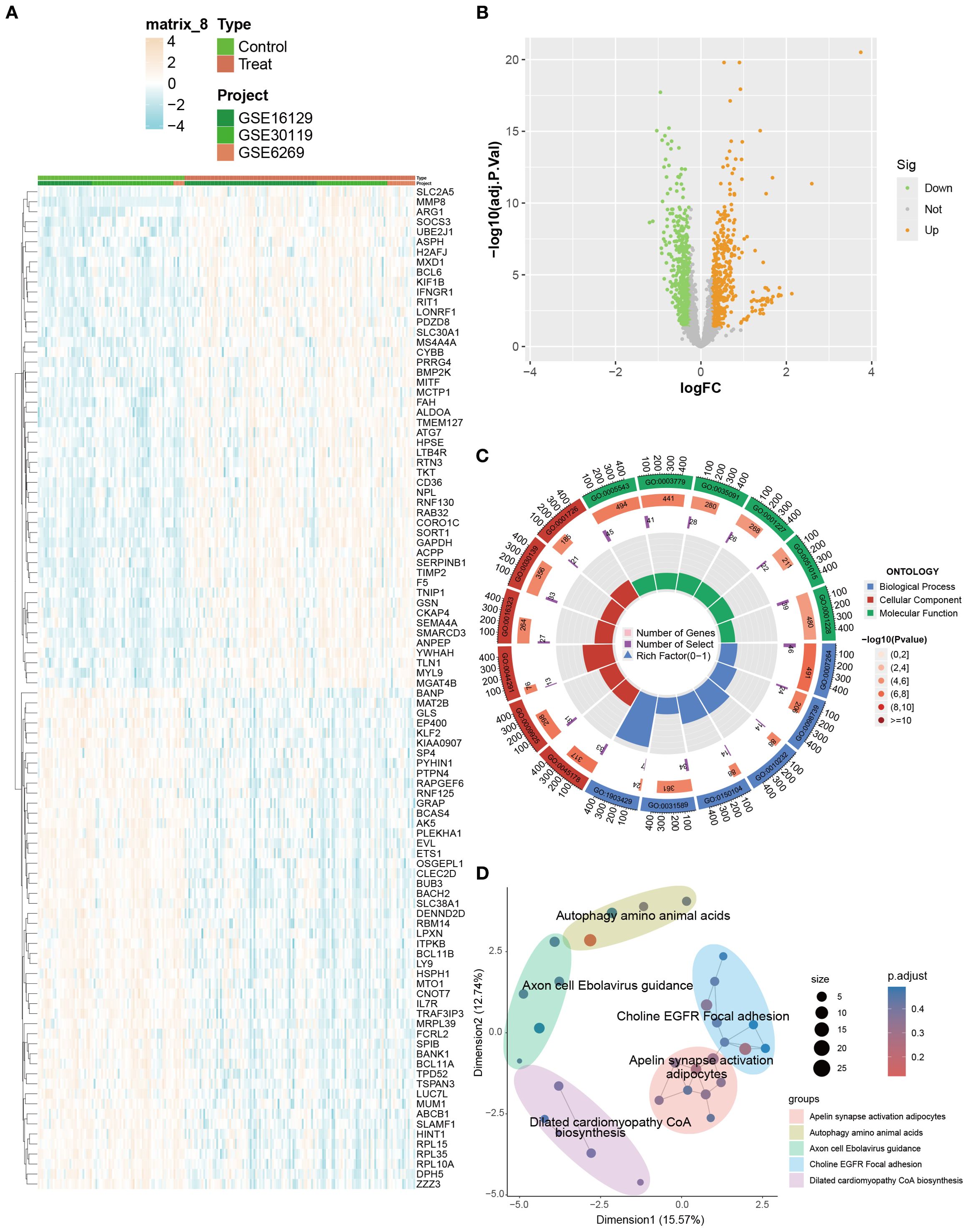 Panel A shows a heatmap of gene expression data from three projects (GSE16129, GSE30119, GSE6269), comparing control and treated groups. Panel B features a volcano plot of log fold changes against adjusted p-values, highlighting significantly upregulated and downregulated genes. Panel C presents a circular bar plot indicating gene ontology terms related to biological process, cellular component, and molecular function, with color-coded p-values. Panel D depicts a dimensionality reduction plot with clusters labeled for associated biological functions, showing distinct groups based on gene expression profiles.