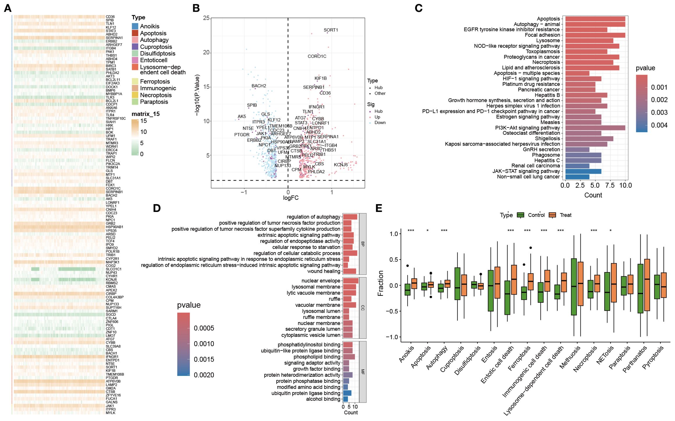 Five-panel analysis of cell death mechanisms and related processes: A) Heatmap comparing gene expression across cell death types, color-coded by type. B) Volcano plot showing gene significance based on log fold change. Hub genes are highlighted. C) Bar chart of pathways associated with various apoptotic and stress response processes, indicating p-values. D) GO and KEGG enrichment analysis for biological processes, cellular components, and molecular functions. E) Box plots comparing fraction distributions of treatments and controls for cell death types, with significance marked by asterisks.