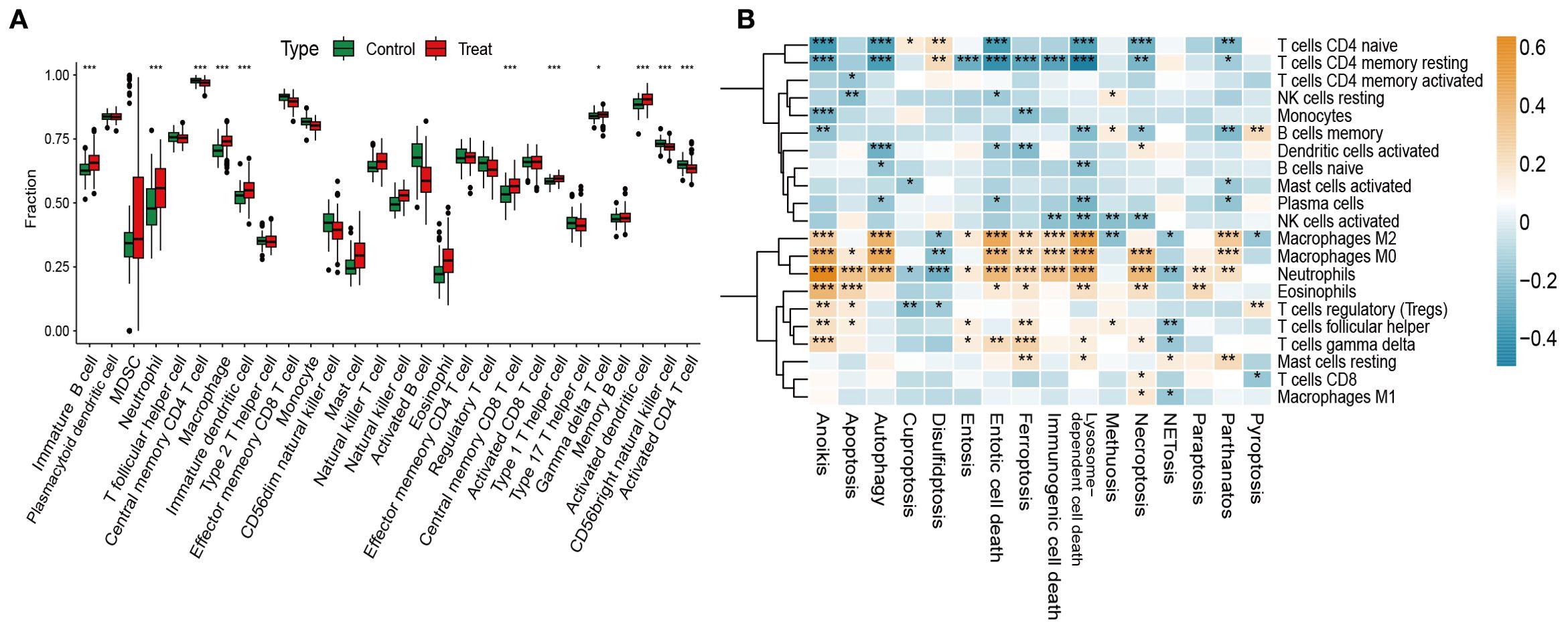 Panel A shows box plots comparing cell type fractions between control and treatment groups, with statistically significant differences marked by asterisks. Panel B is a heatmap depicting correlations between various cell types and cell death processes, with values ranging from -0.4 to 0.6, highlighted in gradients of blue to orange.