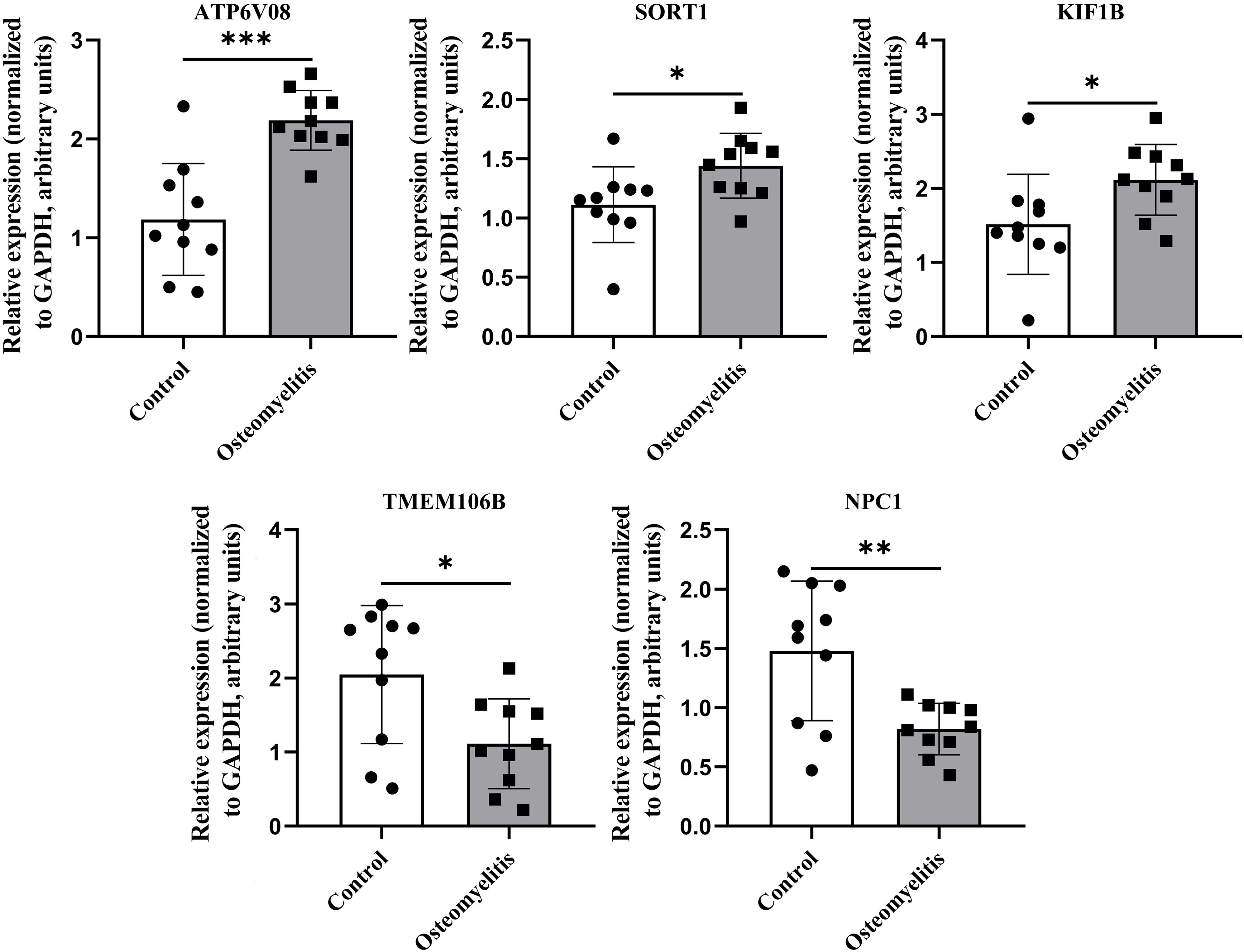 Bar graphs compare the relative expression levels of various genes. Each graph shows control and osteomyelitis groups with data points. Significant differences are indicated by asterisks: ATP6V0B/GAPDH shows significant difference (***), SORT1/GAPDH and KIF1B/GAPDH (*) have slight differences, and TMEM106/GAPDH (*) and NPC1/GAPDH (**) show notable differences. Error bars represent standard deviation.