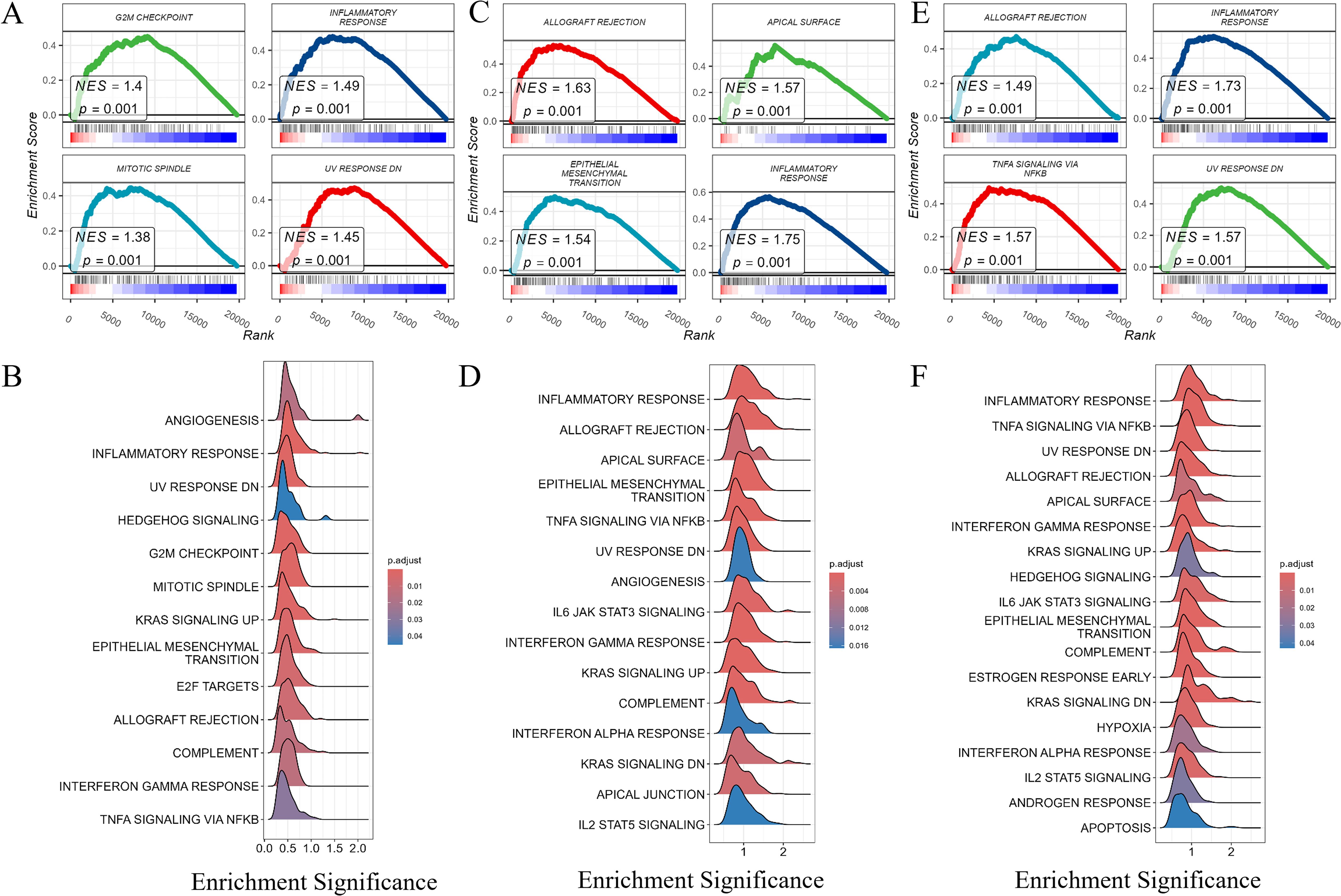 GSEA plots display enrichment scores for several pathways across three panels: A, B, and C. Each panel includes graphs for pathways such as G2M checkpoint and inflammatory response with NES and p-values indicating significance. Below, stacked plots show the distribution of pathways like angiogenesis and TNFA signaling, with color gradients reflecting adjusted p-values. Each panel's plots examine distinct pathway enrichments, highlighting differences in biological responses.