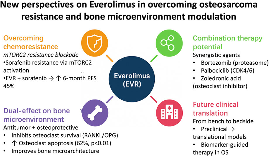 Graphic showing Everolimus (EVR) as a central treatment against osteosarcoma resistance, featuring four approaches: overcoming chemoresistance, dual-effect on bone microenvironment, combination therapy potential, and future clinical translation. Each section discusses mechanisms, such as mTORC2 resistance blockade, osteoclast inhibition, synergistic agents like Bortezomib and Palbociclib, and preclinical to clinical transition strategies.