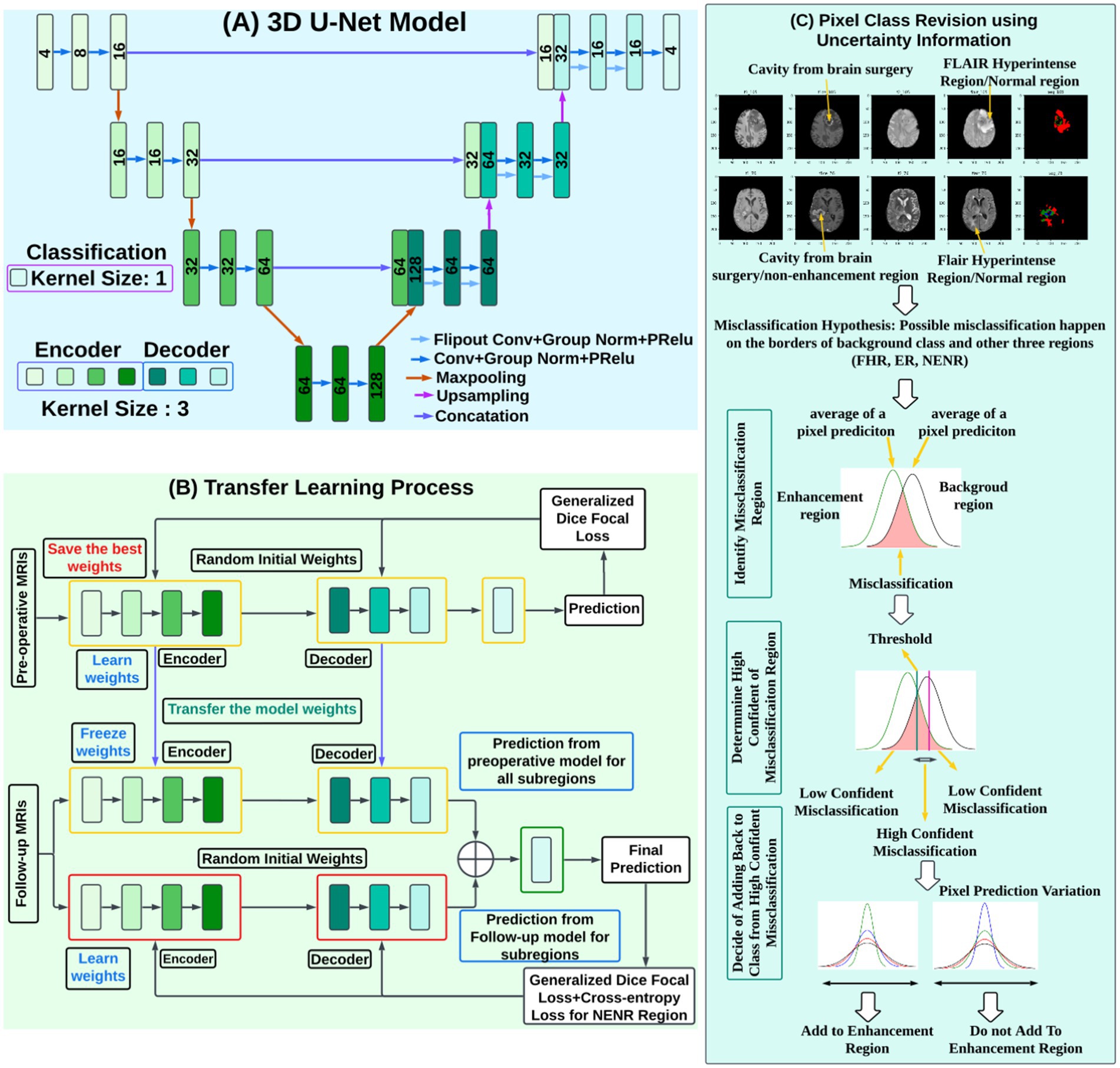 Diagram illustrating a machine learning framework for medical image analysis, with three main parts: (A) a 3D U-Net model displaying the encoder-decoder structure with detailed components like Convolution, Norms, and Poolings; (B) a Transfer Learning Process highlighting weight transfer and prediction workflow using preoperative and follow-up MRIs; and (C) Pixel Class Revision using Uncertainty Information, showing MRI images with annotations, misclassification hypotheses, and decision-making on pixel prediction and class assignment, with flowcharts explaining misclassification identification and correction strategies.