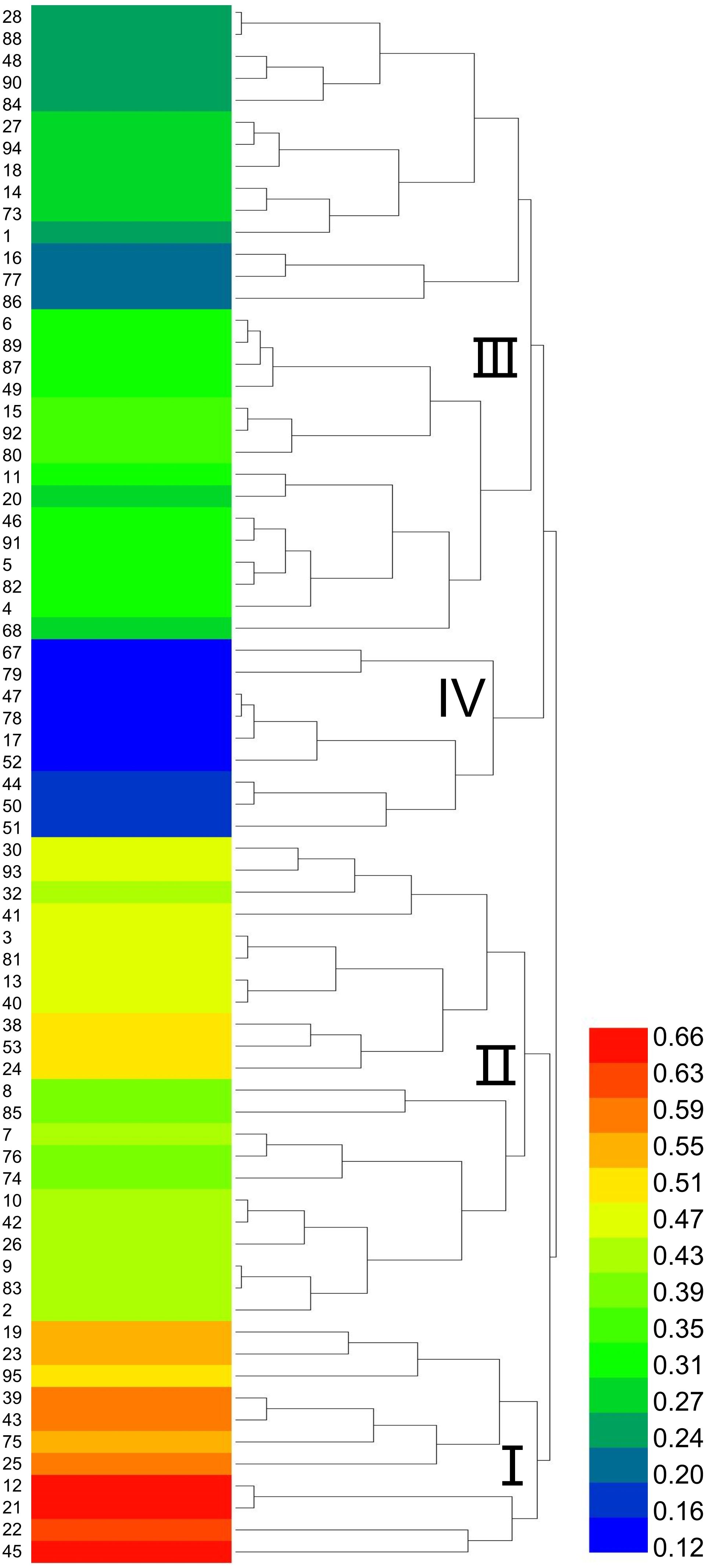 Dendrogram showcasing hierarchical clustering, alongside a heatmap with color gradients from blue to red, indicating values from 0.12 to 0.66. Sections are labeled I to IV, categorizing clustered data.