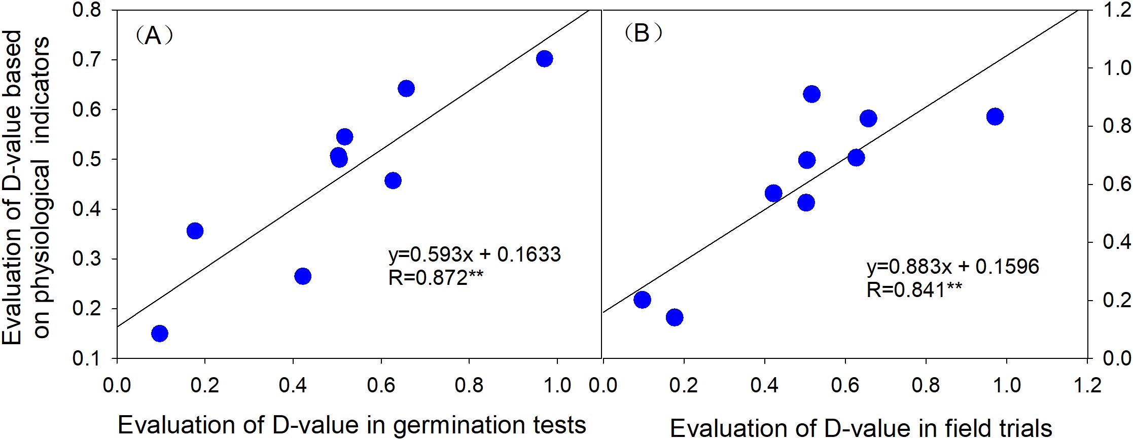 Two scatter plots compare D-value evaluations. Plot A shows D-values in germination tests versus physiological indicators, with a line of best fit y=0.593x + 0.1633 and R=0.872. Plot B shows D-values in field trials versus physiological indicators, with a line of best fit y=0.883x + 0.1596 and R=0.841. Both show positive correlations using blue data points.