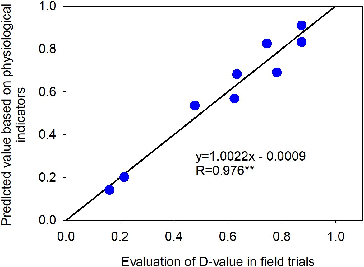 Scatter plot showing the relationship between predicted values based on physiological indicators and evaluation of D-values in field trials. Points fit closely along the line with equation y = 1.0022x - 0.0009. The correlation coefficient is R = 0.976.