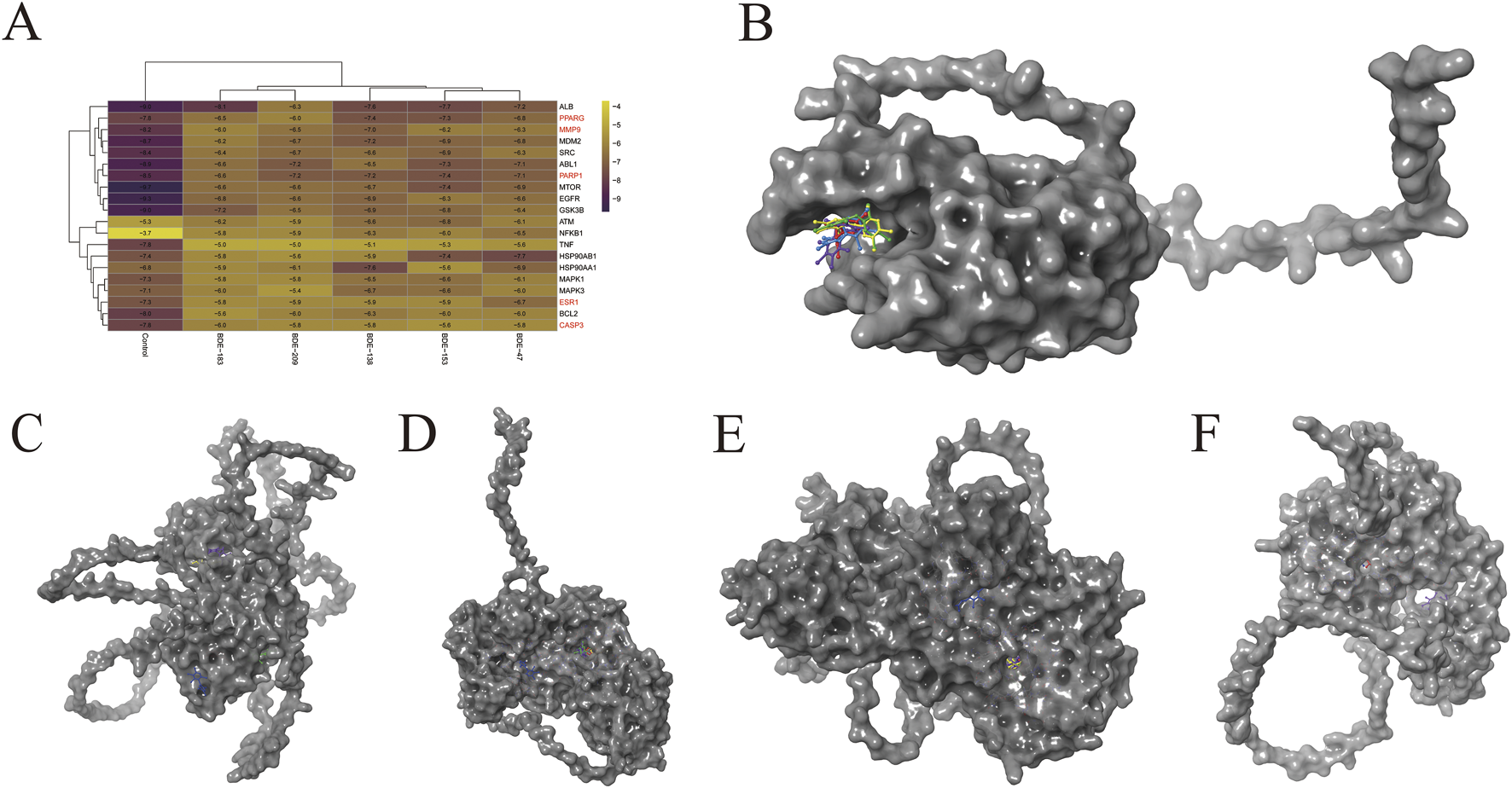 In-silico binding profiling of PBDE congeners to core proteins. A) Affinity heat-map: columns = 5 PBDE congeners, rows = 20 candidate proteins; The color close to purple indicate the higher affinity between PBDEs/controls and proteins; core proteins (CASP3, ESR1, MMP9, PARP1 and PPARG) highlighted in red. B–F) Docked poses (3D): BDE-47, −138, −153, −183, −209 respectively nestled in the active sites of the five hub proteins; ligands rendered as sticks structure, proteins as grey surface, the interaction bonds as yellow dashes.