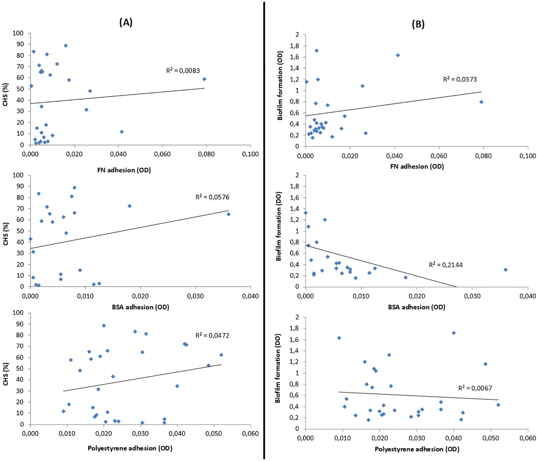 Scatter plots comparing adhesion and biofilm formation in two panels. Panel A shows the correlation between FN, BSA, and polystyrene adhesion with CHS percentage, with R-squared values of 0.0083, 0.0576, and 0.0472, respectively. Panel B displays the correlation between FN, BSA, and polystyrene adhesion with biofilm formation, with R-squared values of 0.0373, 0.2144, and 0.0067, respectively. Each plot features a fitted line and scattered data points.