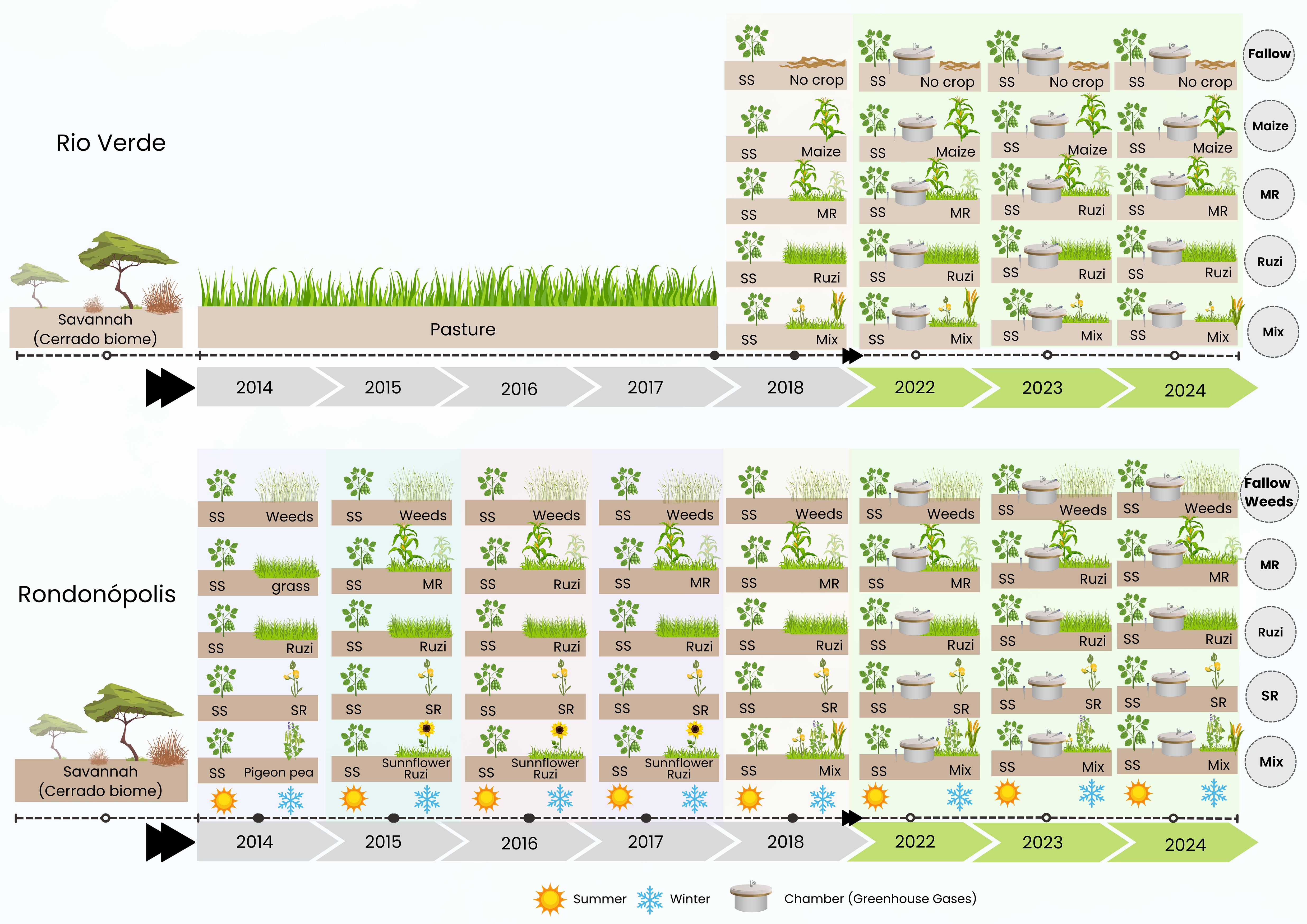 Timeline charts showing agricultural practices in Rio Verde and Rondonópolis from 2014 to 2024. Rio Verde transitions from savannah to pasture, then various cropping systems from 2018 to 2024 like maize, Ruzi grass, and mixed crops. Rondonópolis shows crop sequences with pigeon pea and sunflower Ruzi, including seasonal changes and greenhouse gas chamber use. Icons represent summer and winter seasons.