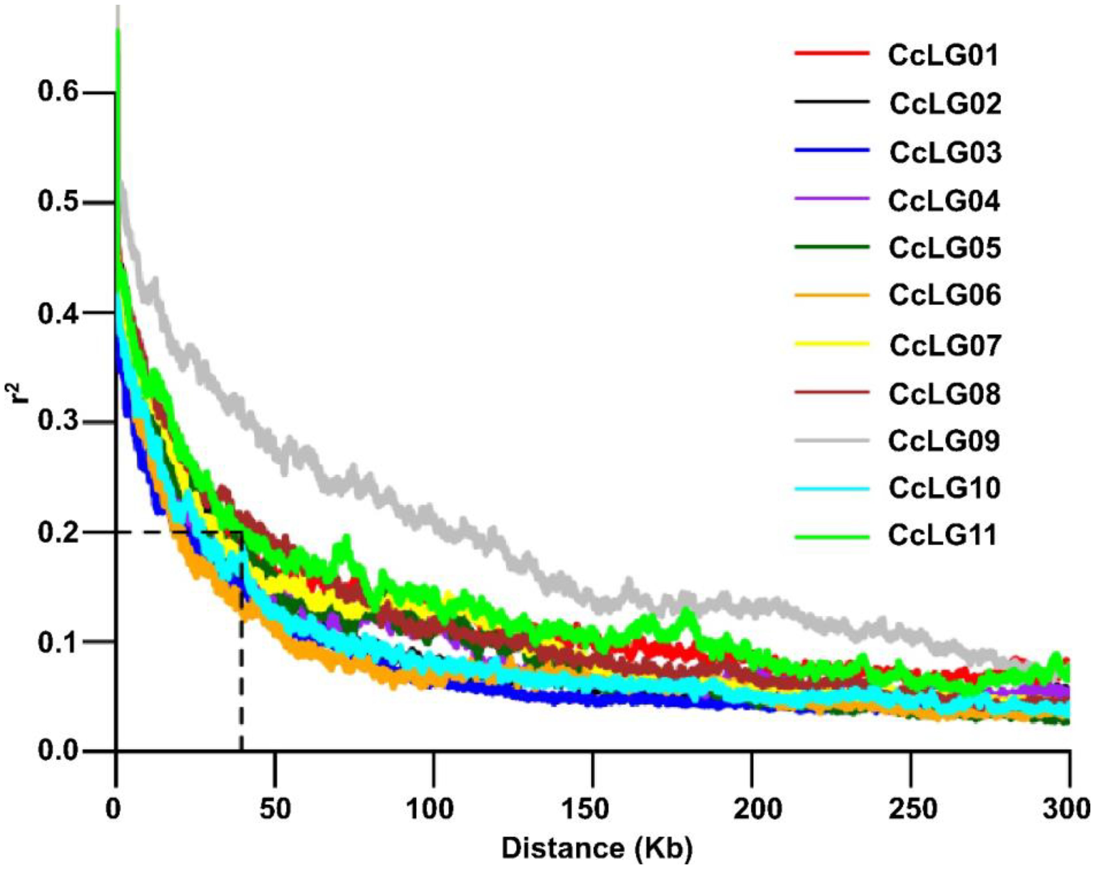 Line graph depicting linkage disequilibrium decay measured by \(r^2\) over distance in kilobases (Kb) for eleven groups labeled CcLG01 to CcLG11. \(r^2\) decreases as distance increases, with each group following a similar decreasing trend but varying in magnitude. Groups are color-coded for distinction.