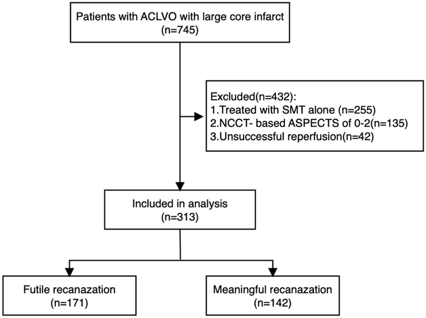 Flowchart illustrating patient selection for analysis. Total patients (n=745) with ACLVO and large core infarct. Exclusions (n=432) include SMT alone (n=255), NCCT-based ASPECTS 0-2 (n=135), and unsuccessful reperfusion (n=42). Analysis includes 313 patients, divided into futile recanalization (n=171) and meaningful recanalization (n=142).