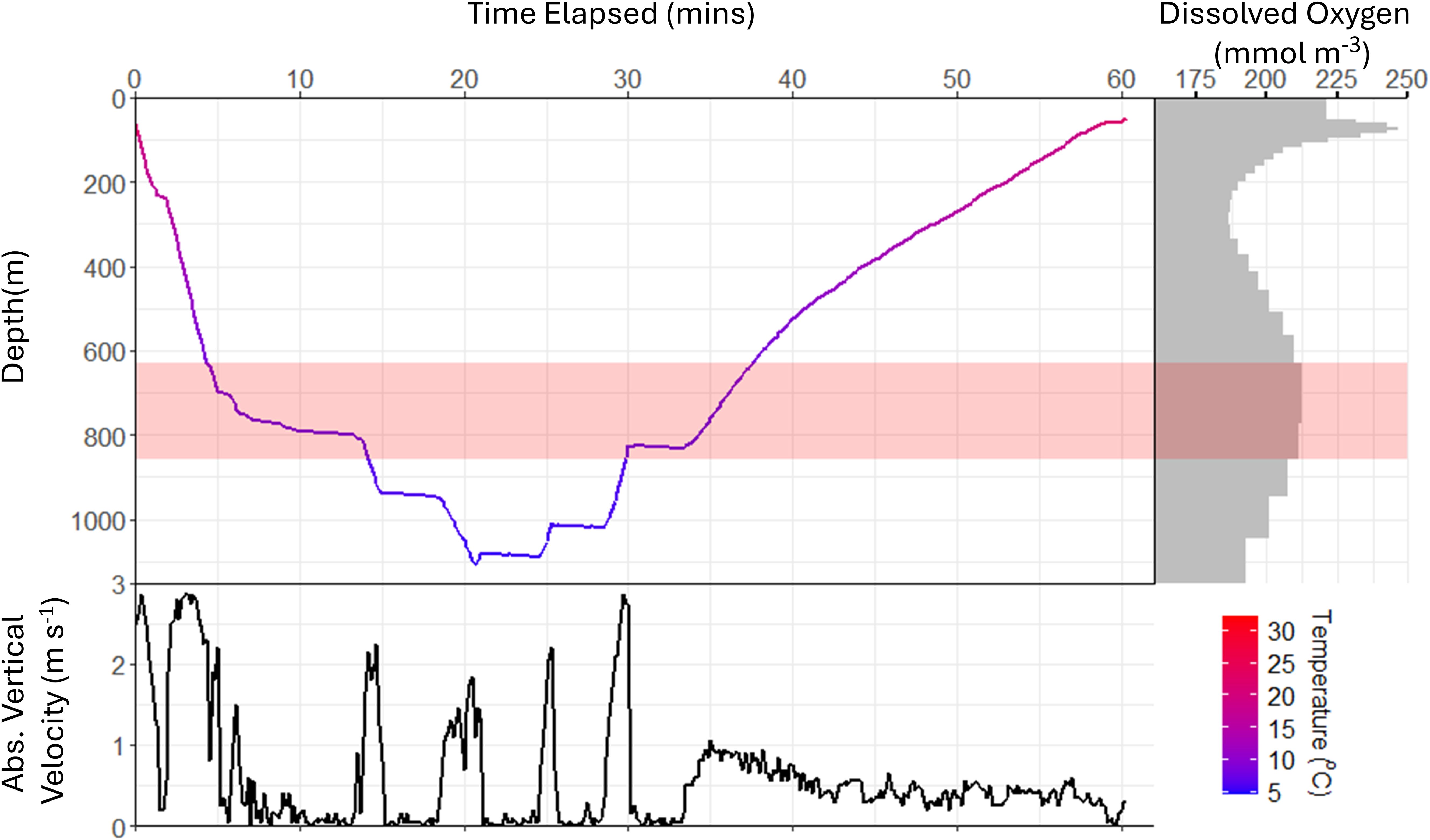 Graph showing a depth profile over 60 minutes, ranging from 0 to 1000 meters. The line color transitions from red to blue, indicating temperature changes. A shaded red area marks a specific depth range. A graph below shows vertical velocity. On the right, a bar graph displays dissolved oxygen levels in gray.