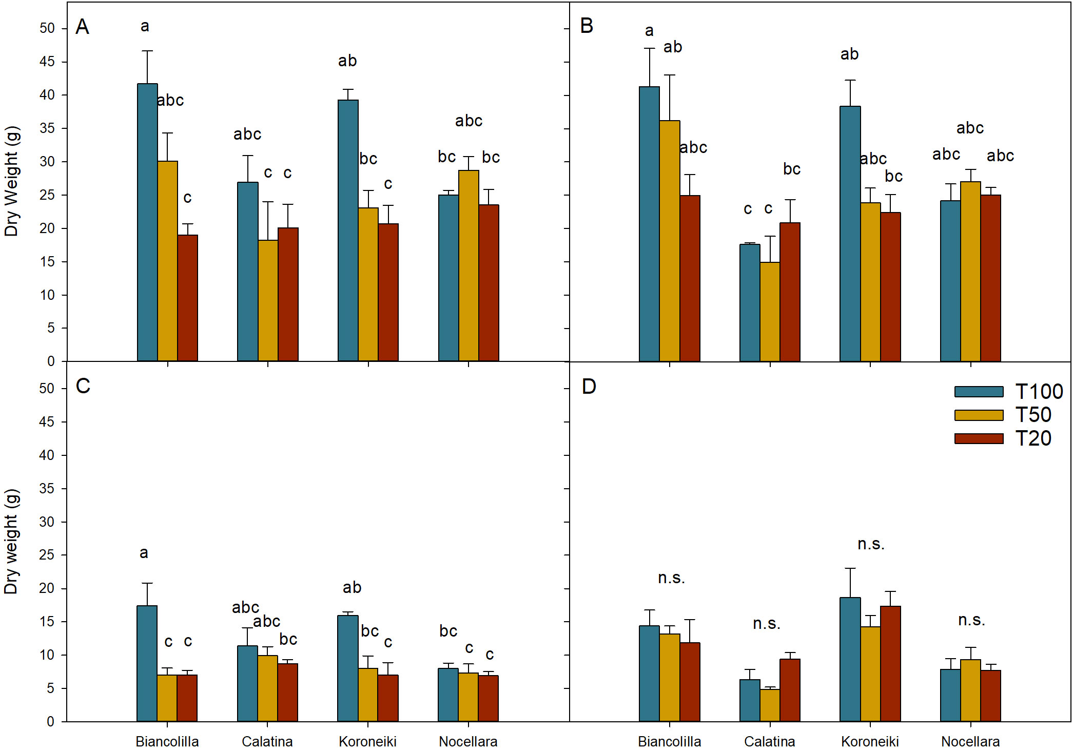 Bar charts labeled A, B, C, and D show dry weight measurements in grams for four olive varieties: Biancolilla, Calatina, Koroneiki, and Nocellara. Each variety is represented by three bars for treatments T100 (blue), T50 (yellow), and T20 (red). Chart A shows higher variation in dry weight compared to the others. Significance is marked with letters or “n.s.” for non-significant differences. Error bars indicate variability.