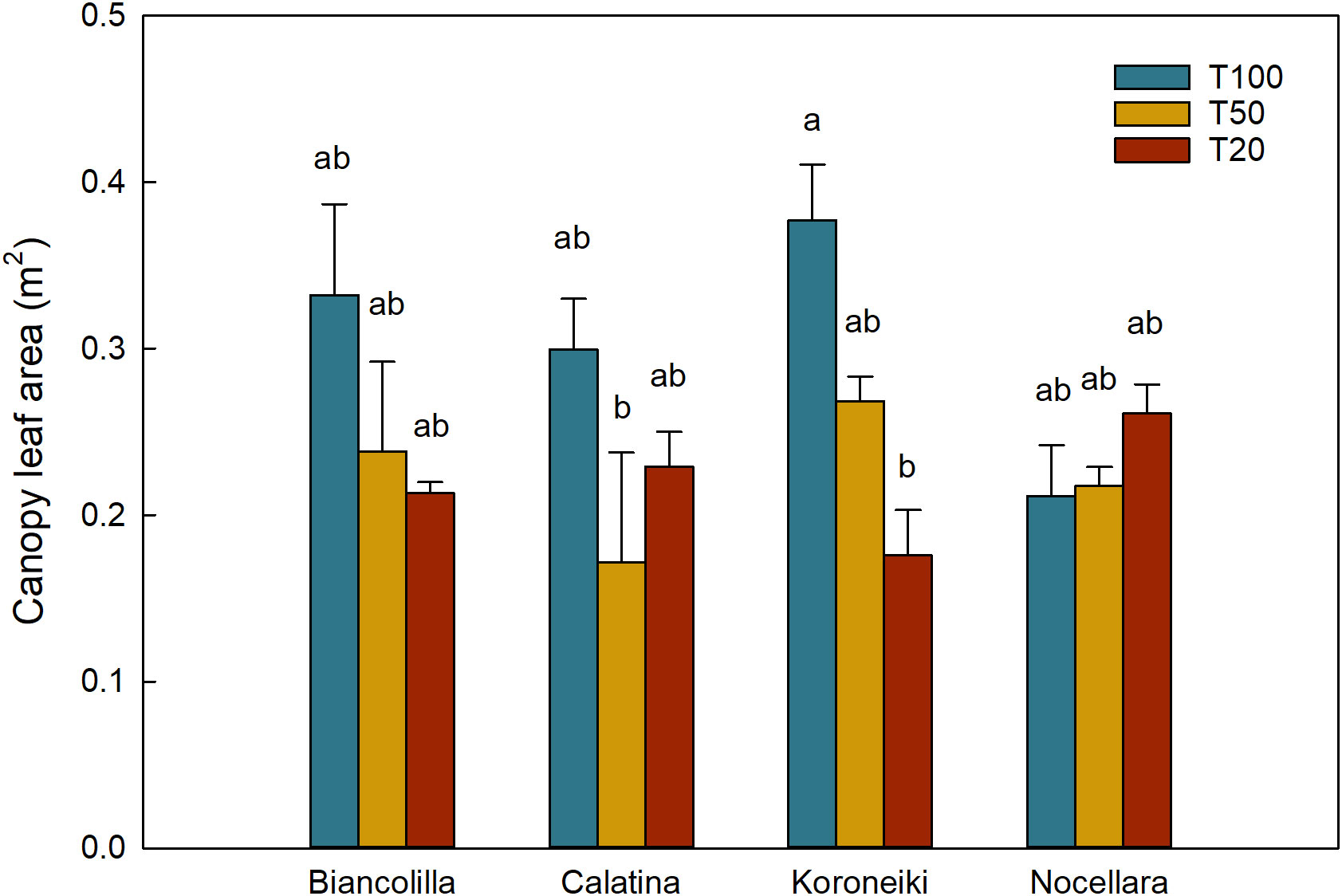 Bar chart showing canopy leaf area in square meters for four olive cultivars: Biancolilla, Calatina, Koroneiki, and Nocellara. Each cultivar has three bars representing treatments T100 (blue), T50 (yellow), and T20 (red). Heights vary, with Koroneiki under T100 showing the highest canopy leaf area. Error bars indicate variability, with statistical significance denoted by letters “a,” “b,” and “ab.