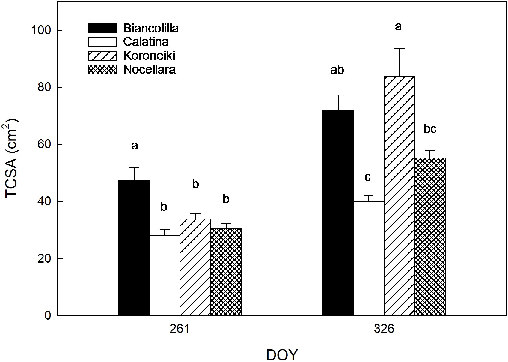 Bar graph comparing trunk cross-sectional area (TCSA) in square centimeters for four olive varieties: Biancolilla, Calatina, Koroneiki, and Nocellara on day of year (DOY) 261 and 326. Biancolilla shows highest TCSA on both days, with notable increases on day 326. Calatina displays significantly lower TCSA. Koroneiki and Nocellara exhibit similar TCSA values, with slight variations. Error bars indicate standard error, and distinct letters represent statistically significant differences.