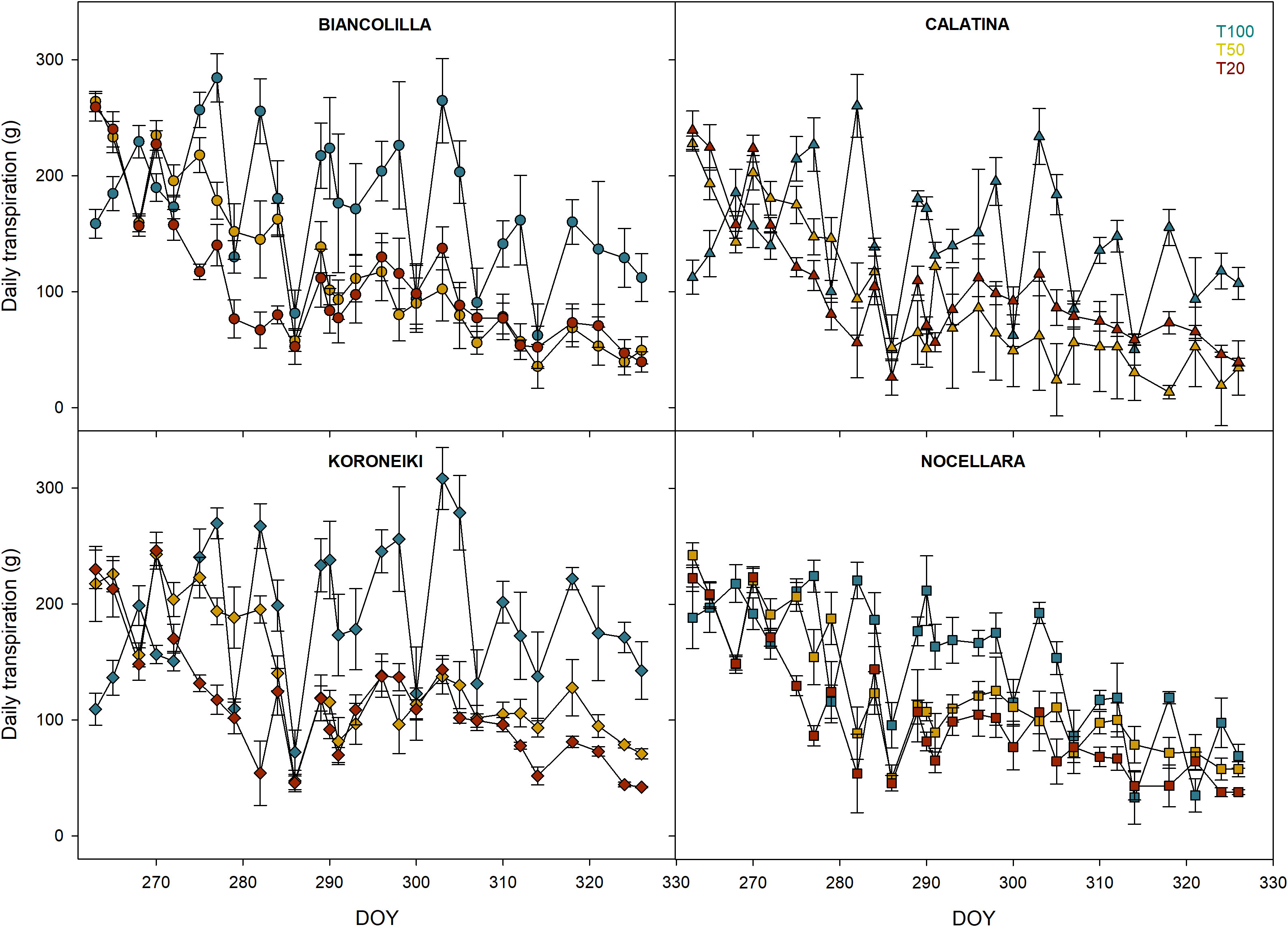 Four line graphs show daily transpiration in grams over days of the year (DOY) for Biancolilla, Calatina, Koroneiki, and Nocellara. Each graph displays three treatment levels (T100, T50, T20) with different colored markers indicating variability among cultivars.