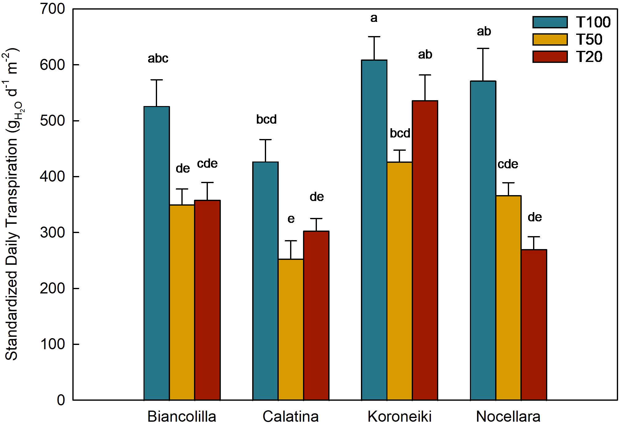 Bar chart comparing standardized daily transpiration in four olive cultivars: Biancolilla, Calatina, Koroneiki, and Nocellara. Three treatments are shown: T100 (in blue), T50 (in yellow), and T20 (in red). Transpiration levels vary, with Biancolilla and Koroneiki under T100 showing the highest transpiration, especially higher than T50 and T20 in each respective cultivar. Error bars and labeled letters indicate statistical groupings.