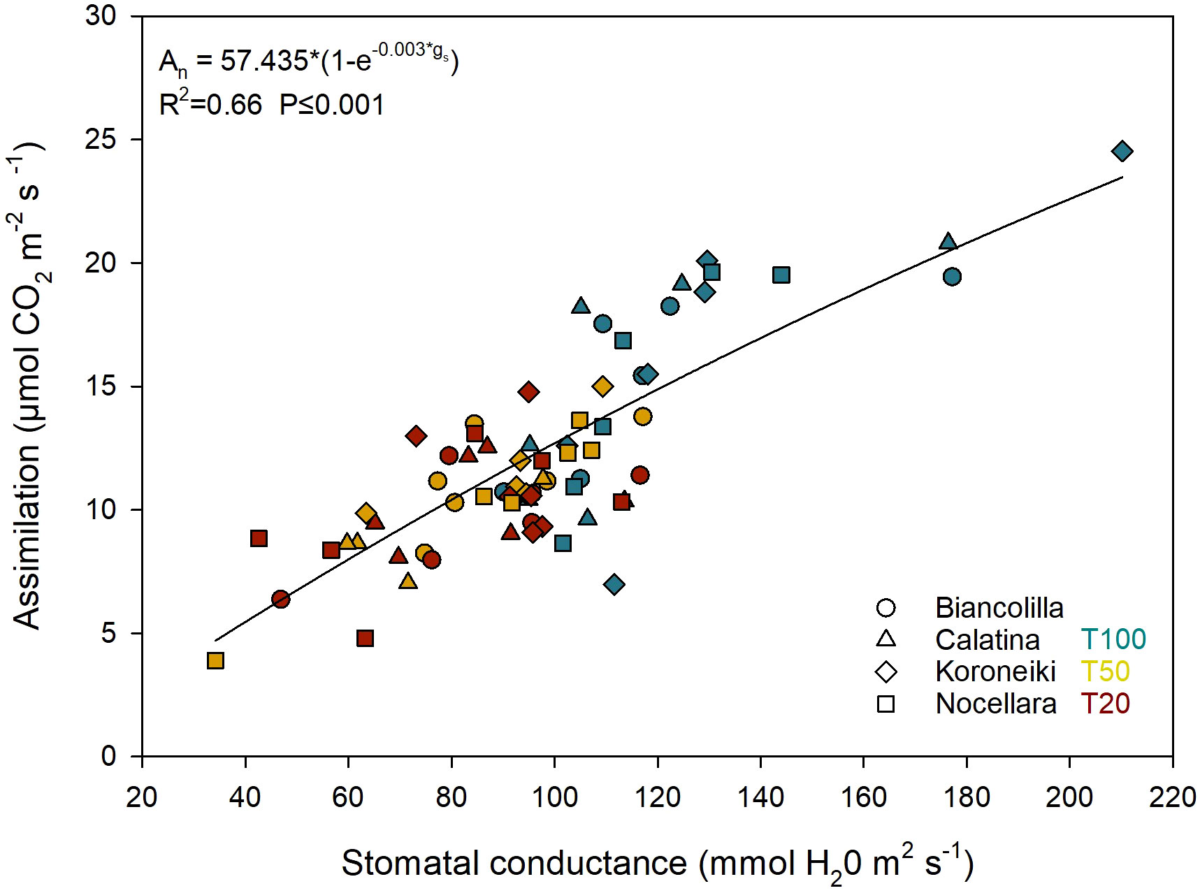 Scatter plot showing the relationship between stomatal conductance (mmol H₂O m² s⁻¹) on the x-axis and assimilation (µmol CO₂ m² s⁻¹) on the y-axis. Data points represent different olive cultivars: Biancolilla, Calatina, Koroneiki, and Nocellara, with various symbols and colors (turquoise for T100, yellow for T50, red for T20). A fitted line displays the relationship with the equation An = 57.435*(1-e⁻⁰.⁰⁰³*gs), R²=0.66, P≤0.001.