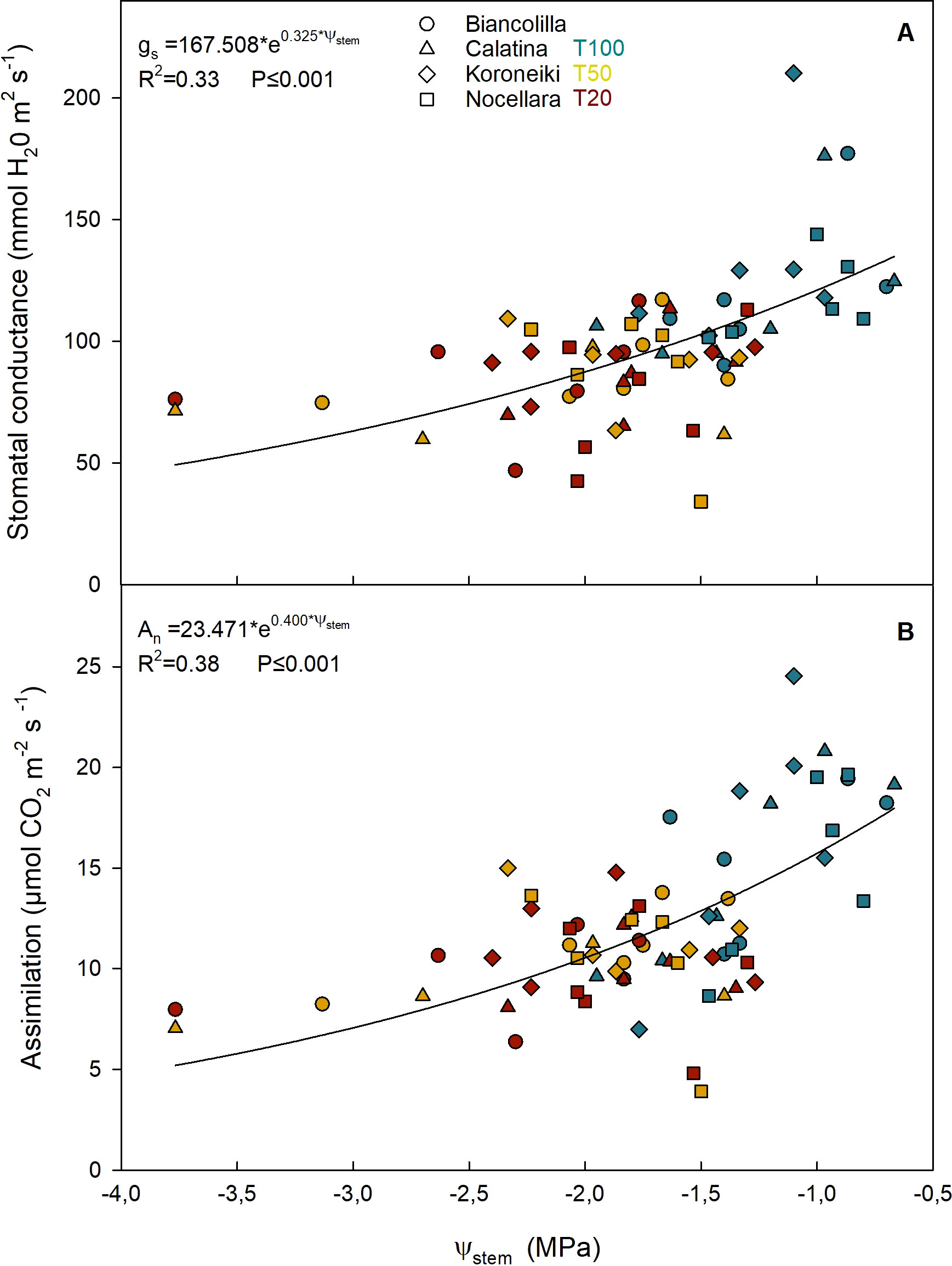 Scatter plots depicting the relationship between stem water potential (ψ_stem) and stomatal conductance (A) and assimilation (B) in different olive varieties, marked by unique shapes and colors. Panel A shows a positive correlation between ψ_stem and stomatal conductance, while Panel B shows a positive correlation between ψ_stem and assimilation. Equations, R-squared values, and significance levels are included.