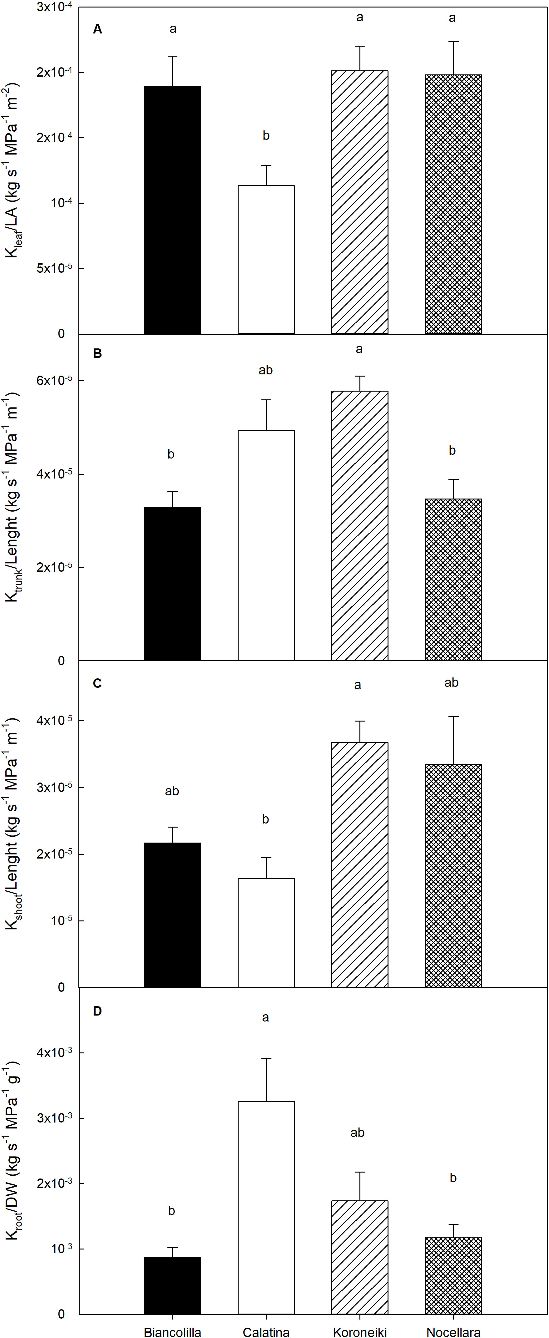 Bar charts labeled A to D compare different hydraulic conductivities in four plant varieties: Biancolilla, Calatina, Koroneiki, and Nocellara. Each chart represents values for \(K_{leaf/LA}\), \(K_{trunk/Length}\), \(K_{shoot/Length}\), and \(K_{root/DW}\) with significance levels indicated by letters (a, b, ab). Charts reveal variation in hydraulic conductivity among plant varieties, with Calatina often showing higher values. Error bars indicate standard deviation.