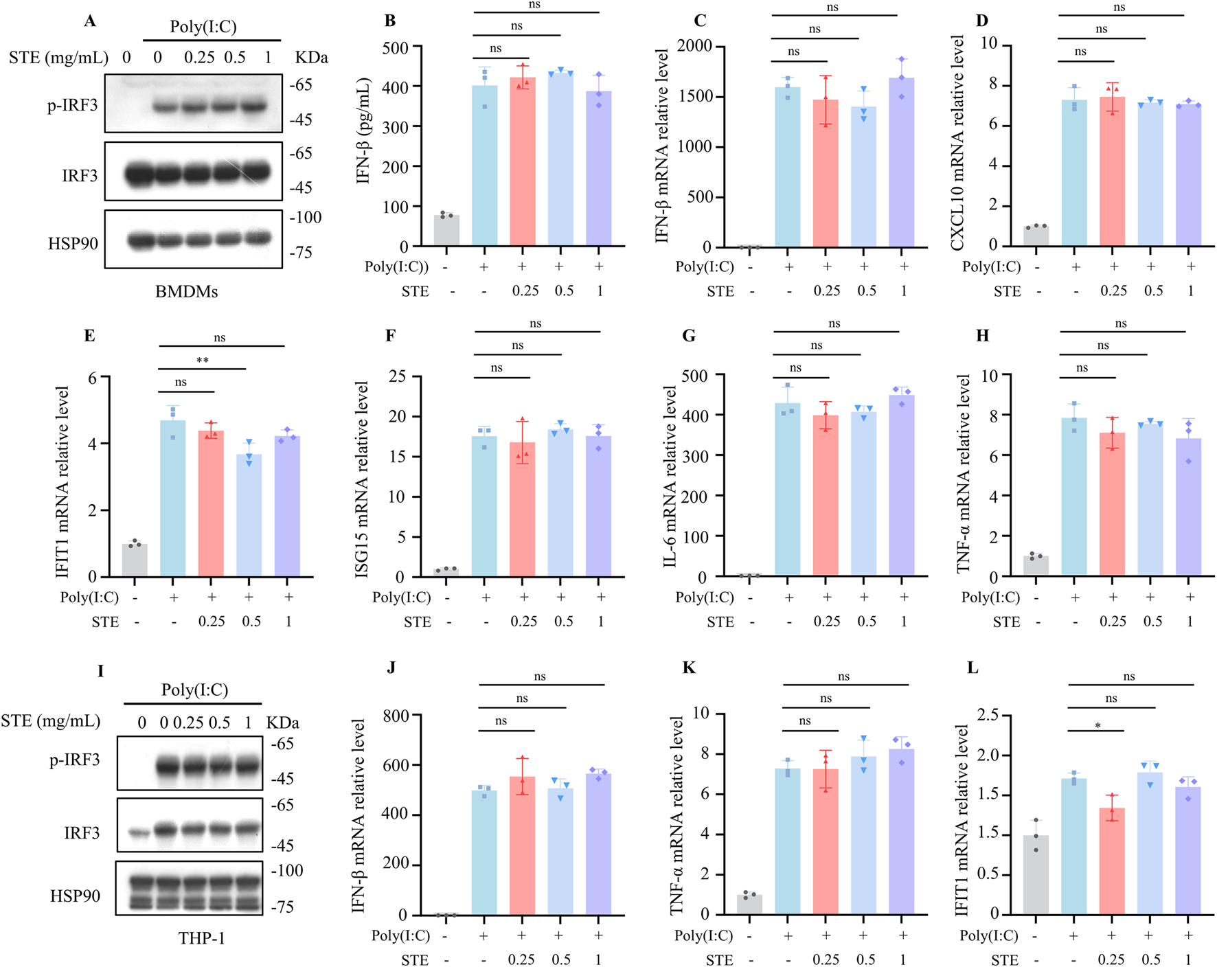 Western blot and bar graphs showing the effects of varying concentrations of STE on BMDMs and THP-1 cells. Panels A and I display protein levels of p-IRF3, IRF3, and HS90 under different treatments. Panels B to H, and J to L present bar graphs comparing levels of IFN-β, and mRNA expression of IFIH1, CXCL10, IFIT1, ISG15, IL-6, and TNF-α across treatments with STE and Poly(I:C). Statistically significant and non-significant results are denoted.
